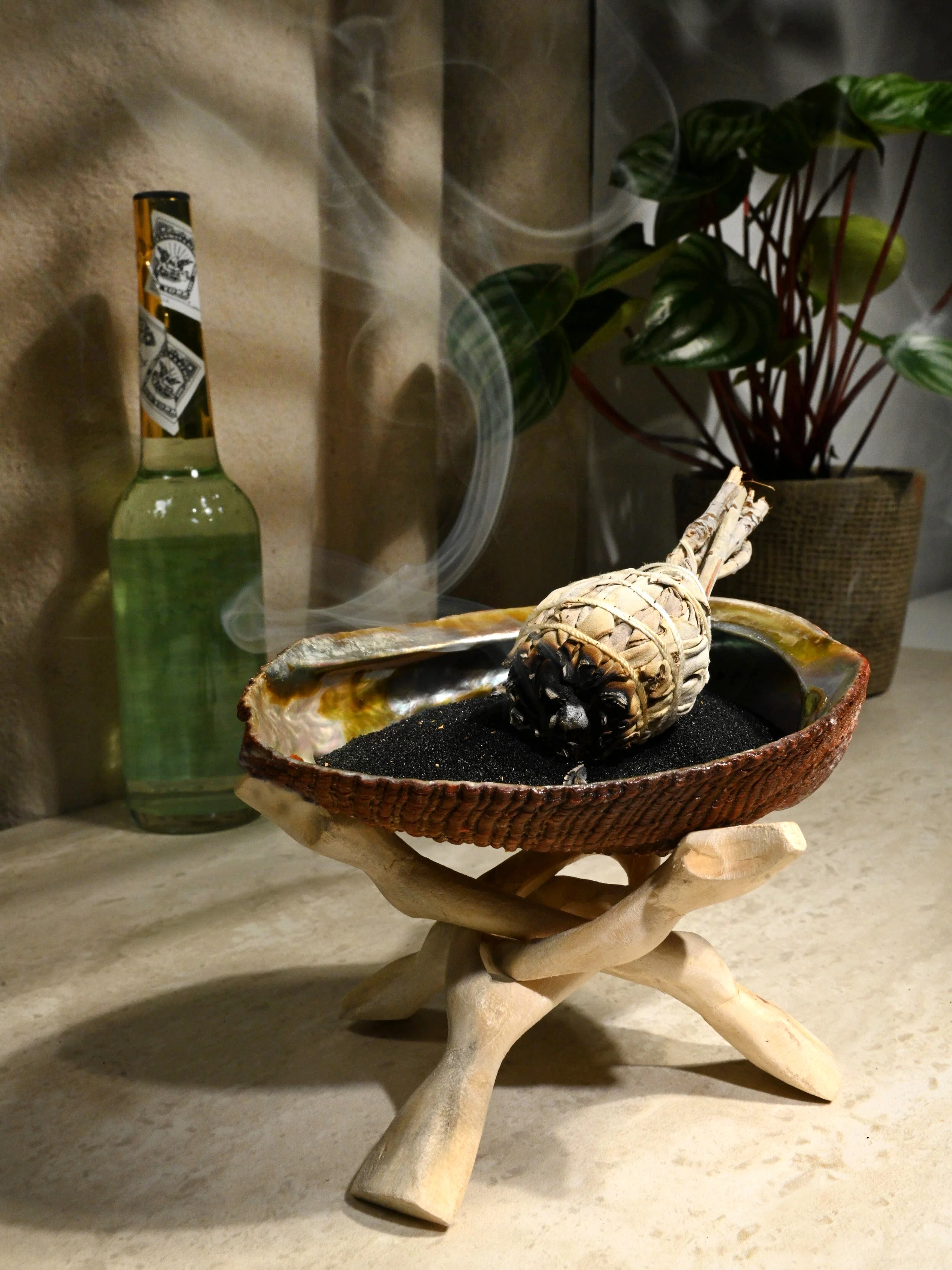 Abalone Shell - Image 11