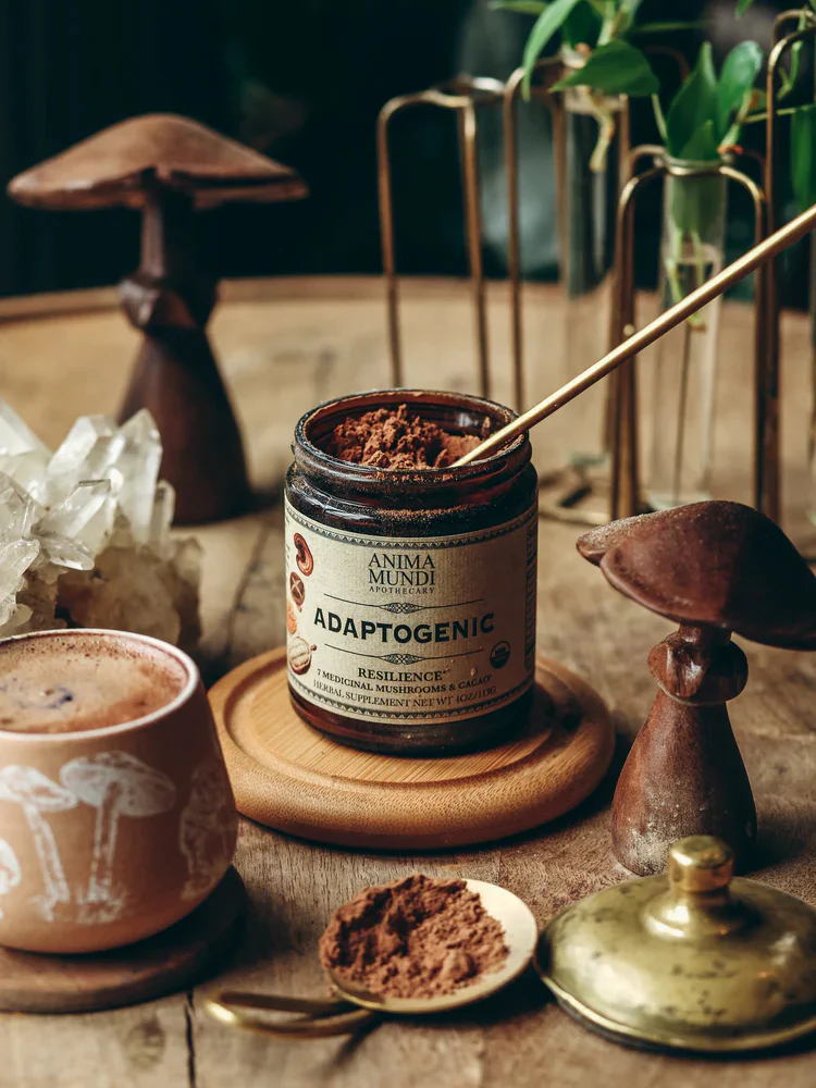ADAPTOGENIC Powder | Organic, 7 Medicinal Mushrooms + Cacao - Image 2