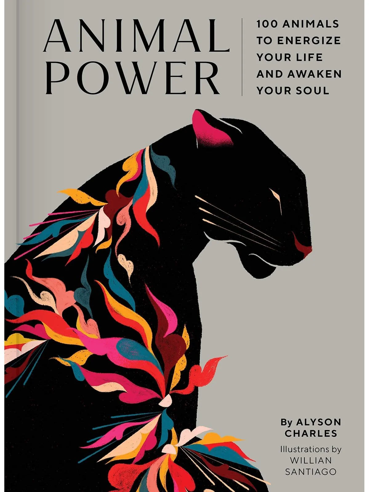 Animal Power: 100 Animals to Energize Your Life and Awaken Your Soul