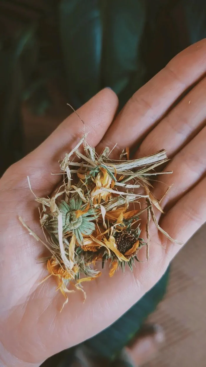 Autumn Equinox Herbal Tea - Image 3