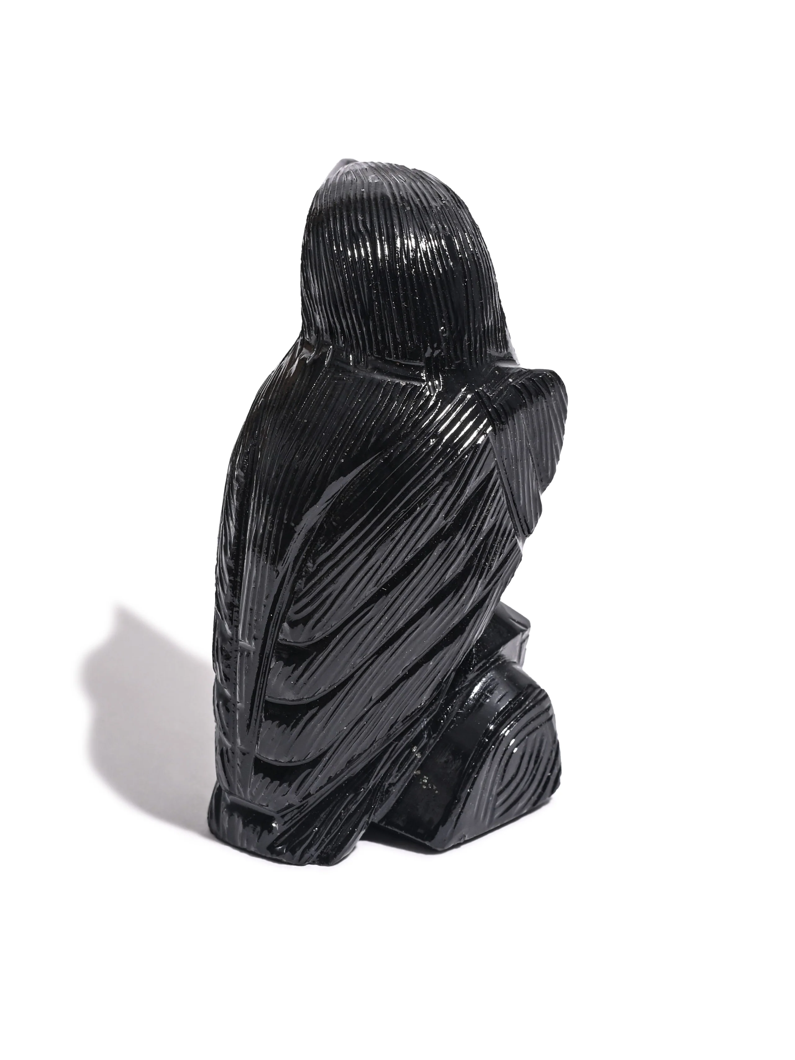 Black Onyx Raven - Image 9