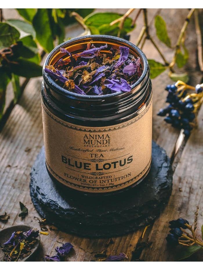 BLUE LOTUS: Flower of Intuition Tea - Image 3