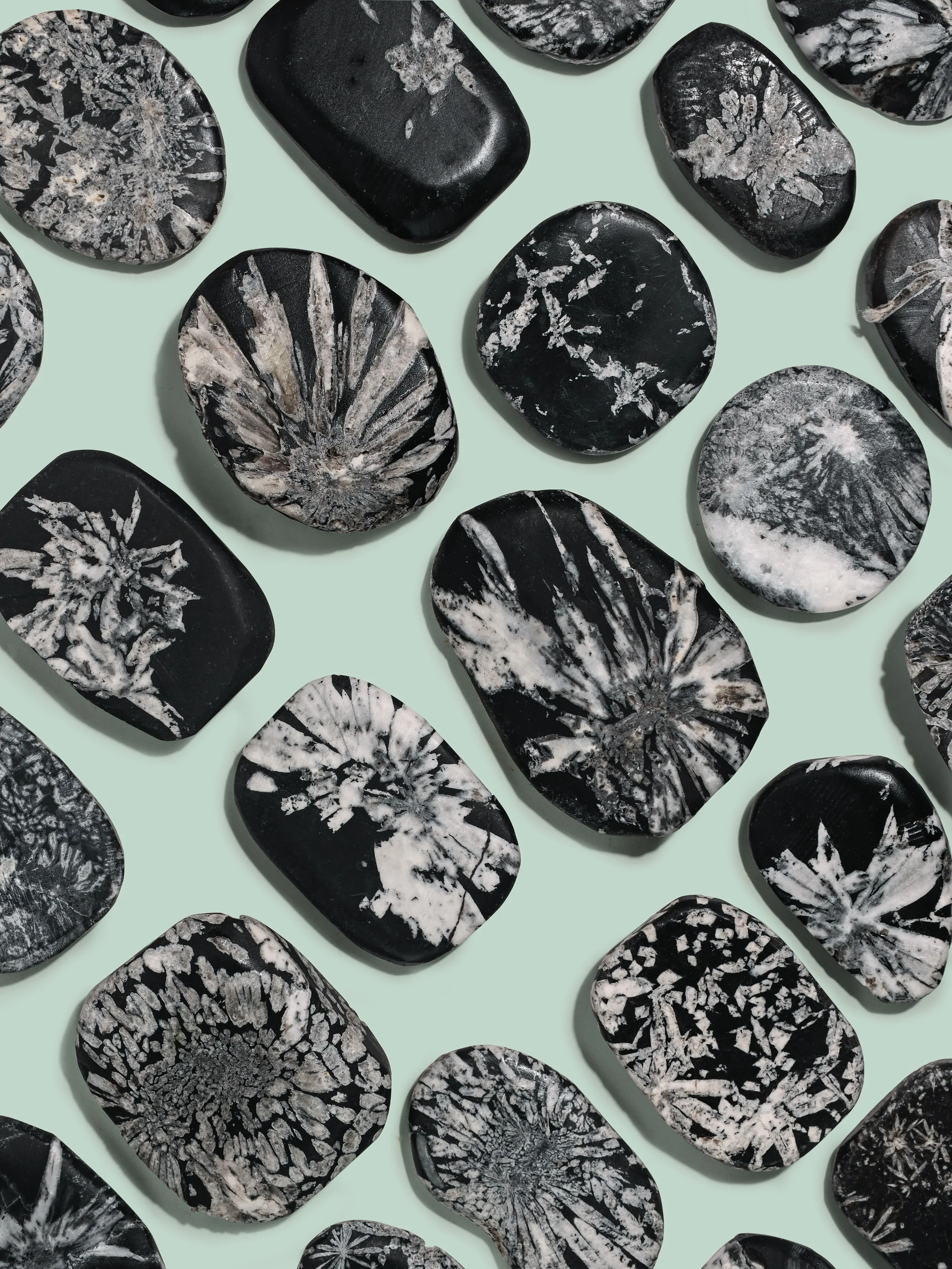 Chrysanthemum Stone