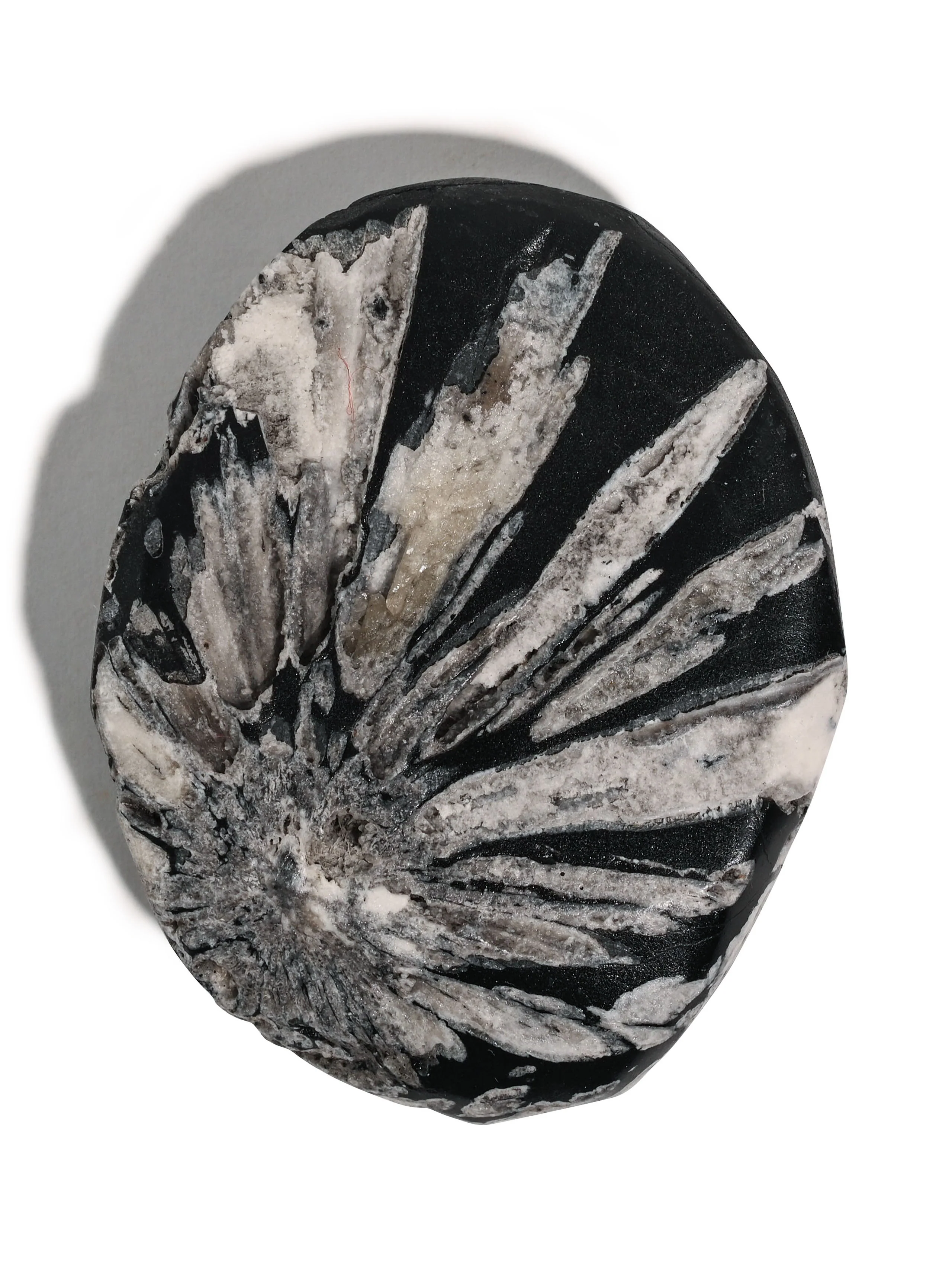 Chrysanthemum Stone - Image 2
