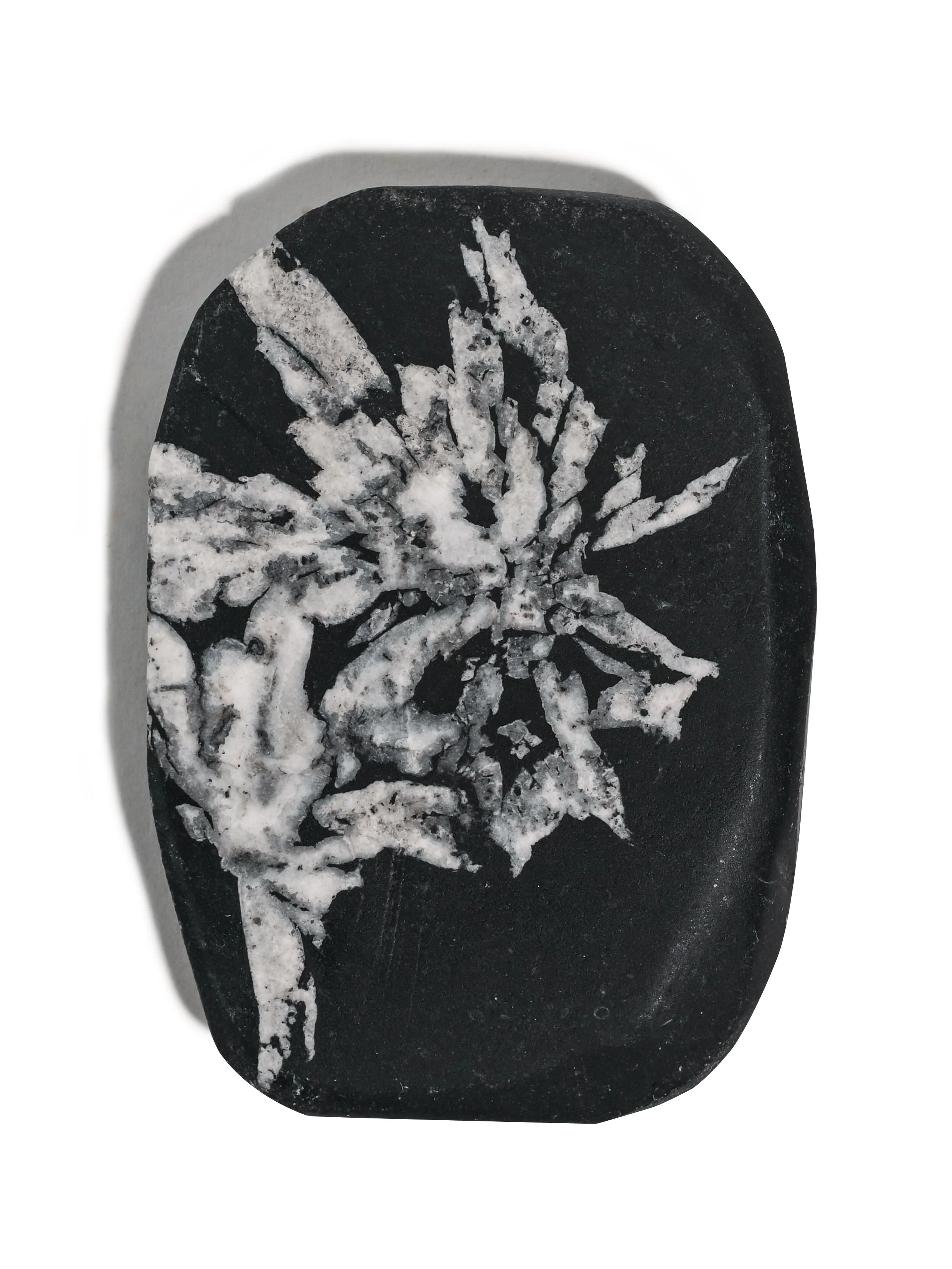 Chrysanthemum Stone - Image 5