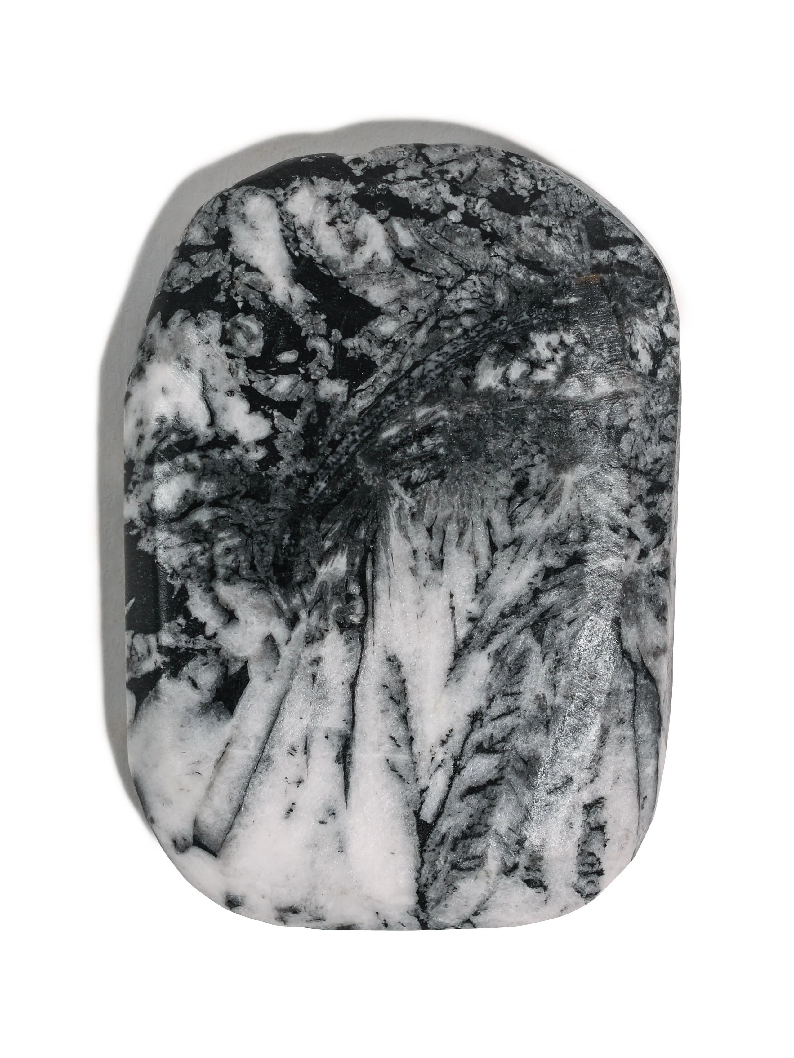 Chrysanthemum Stone - Image 7