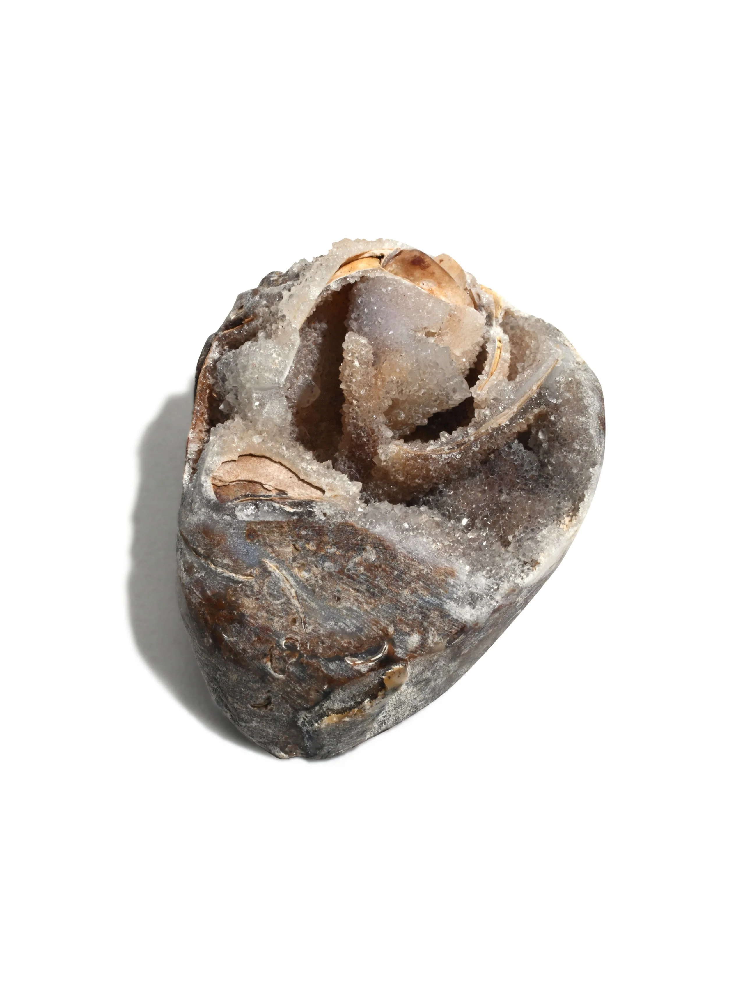 Druzy Fossilized Shell - Image 3