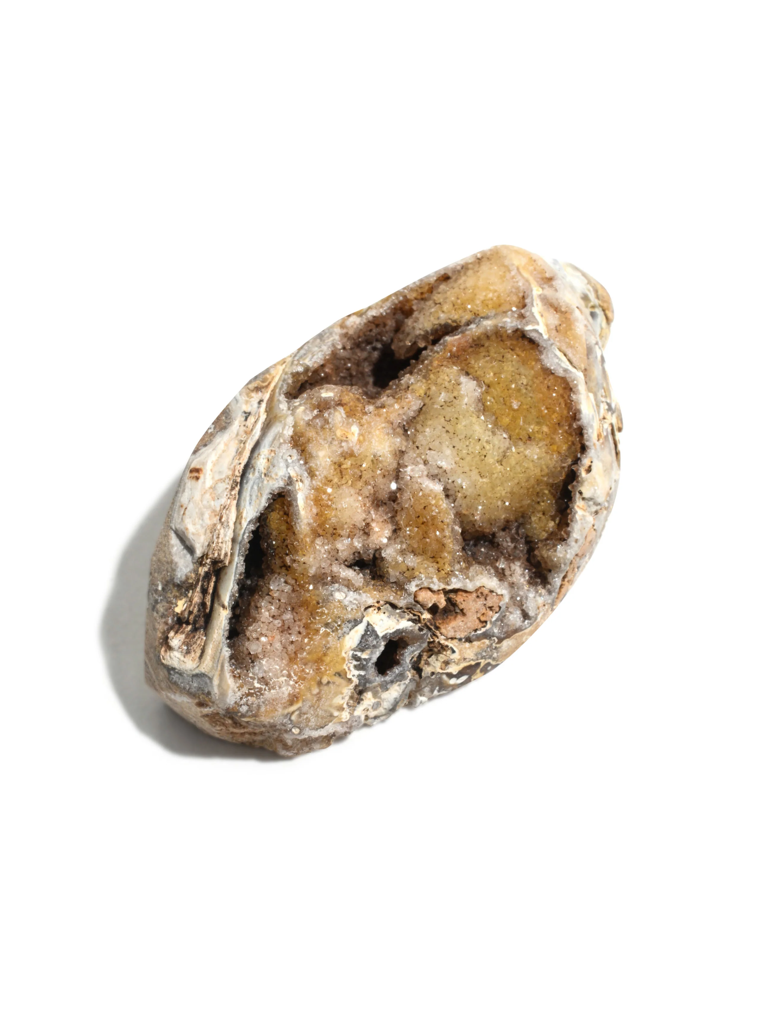 Druzy Fossilized Shell - Image 4