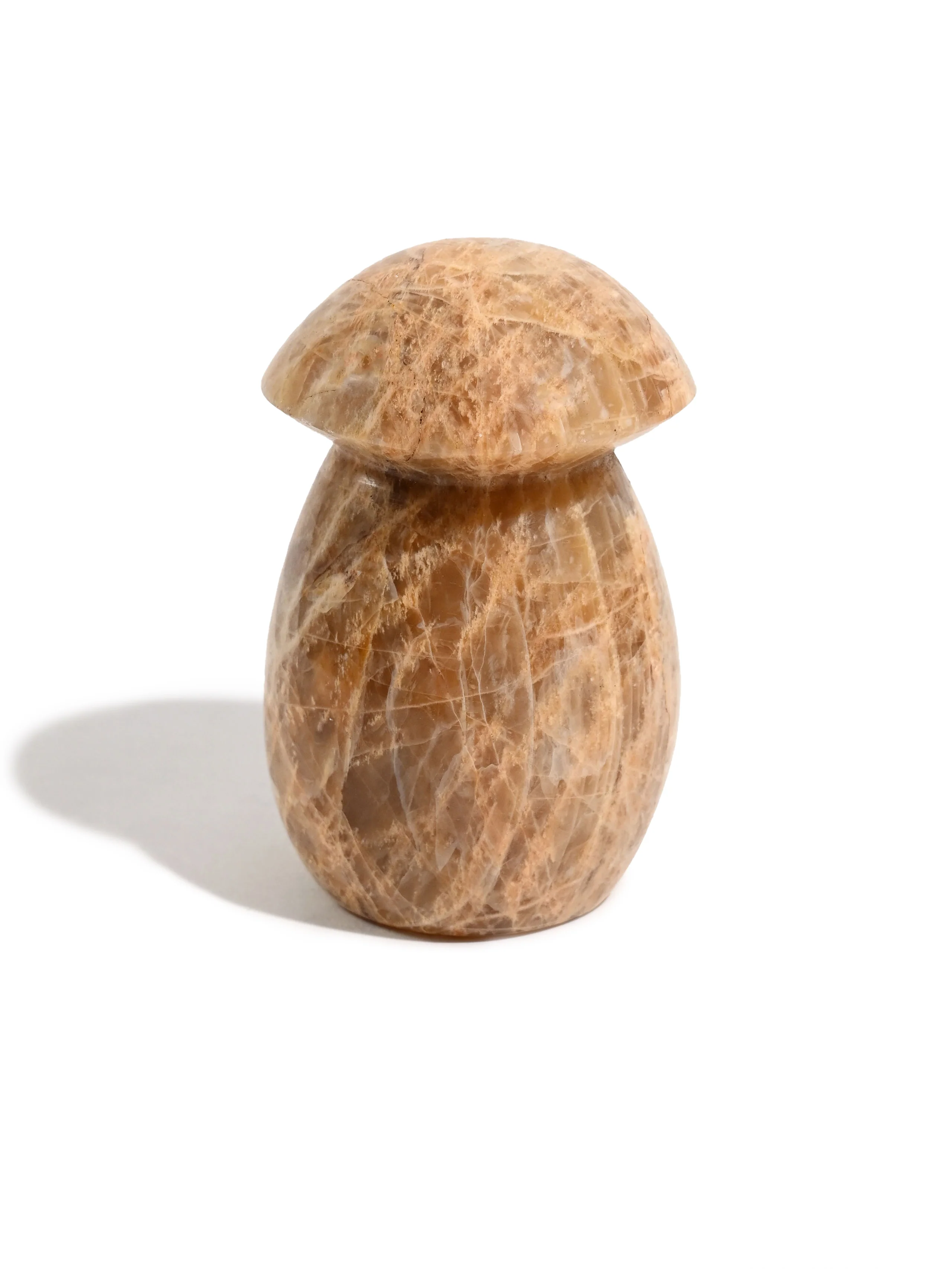 Earth Moonstone Mushroom - Image 2