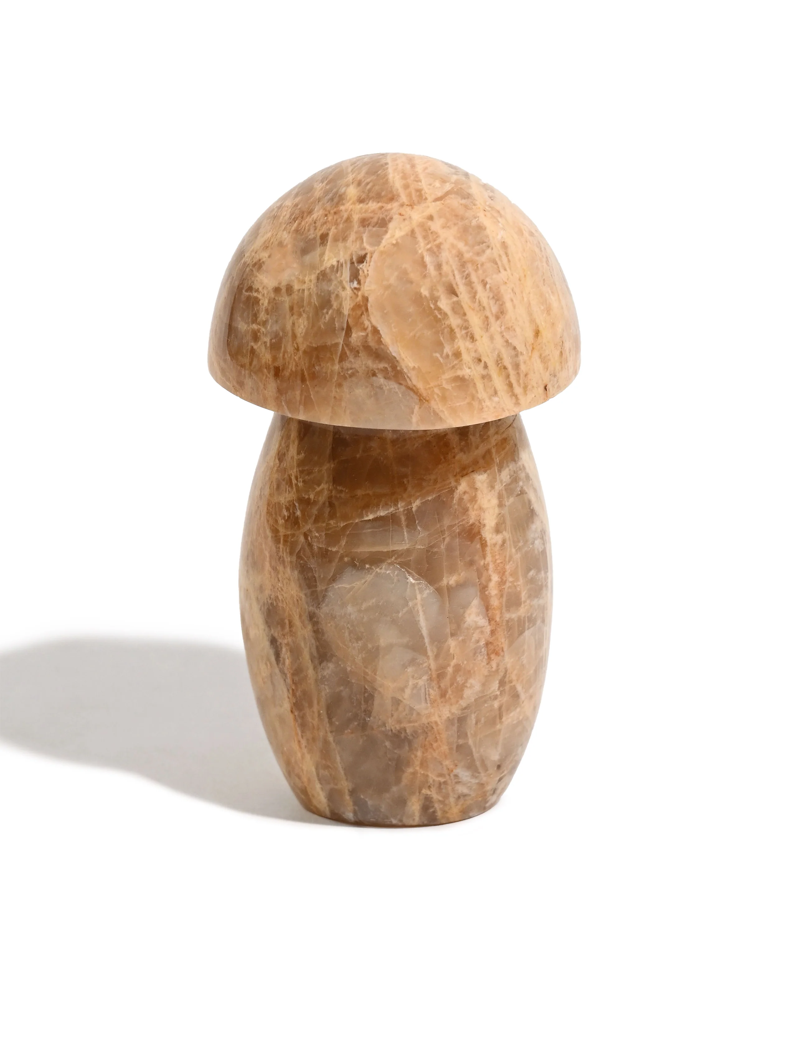 Earth Moonstone Mushroom - Image 3