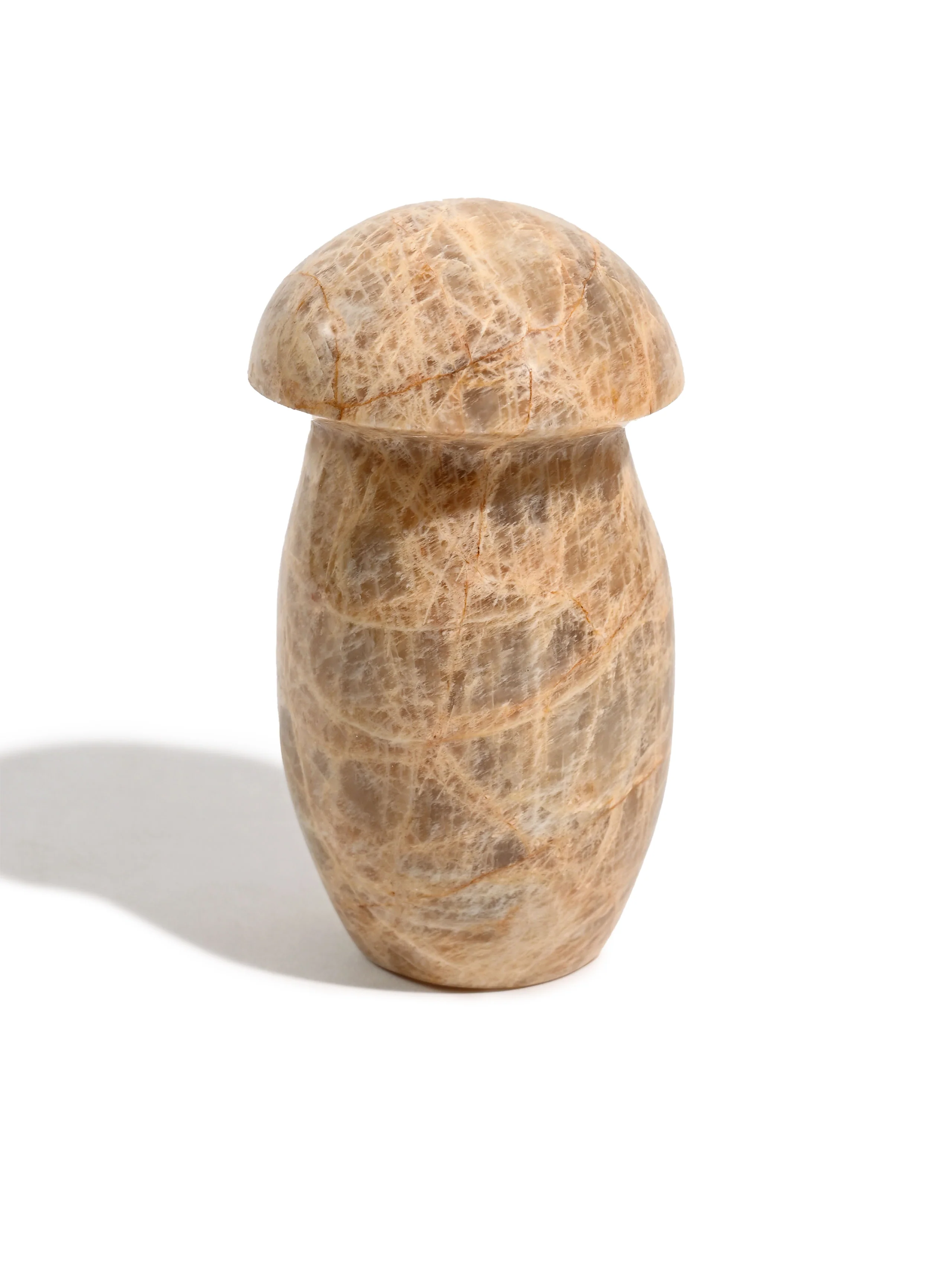 Earth Moonstone Mushroom - Image 4