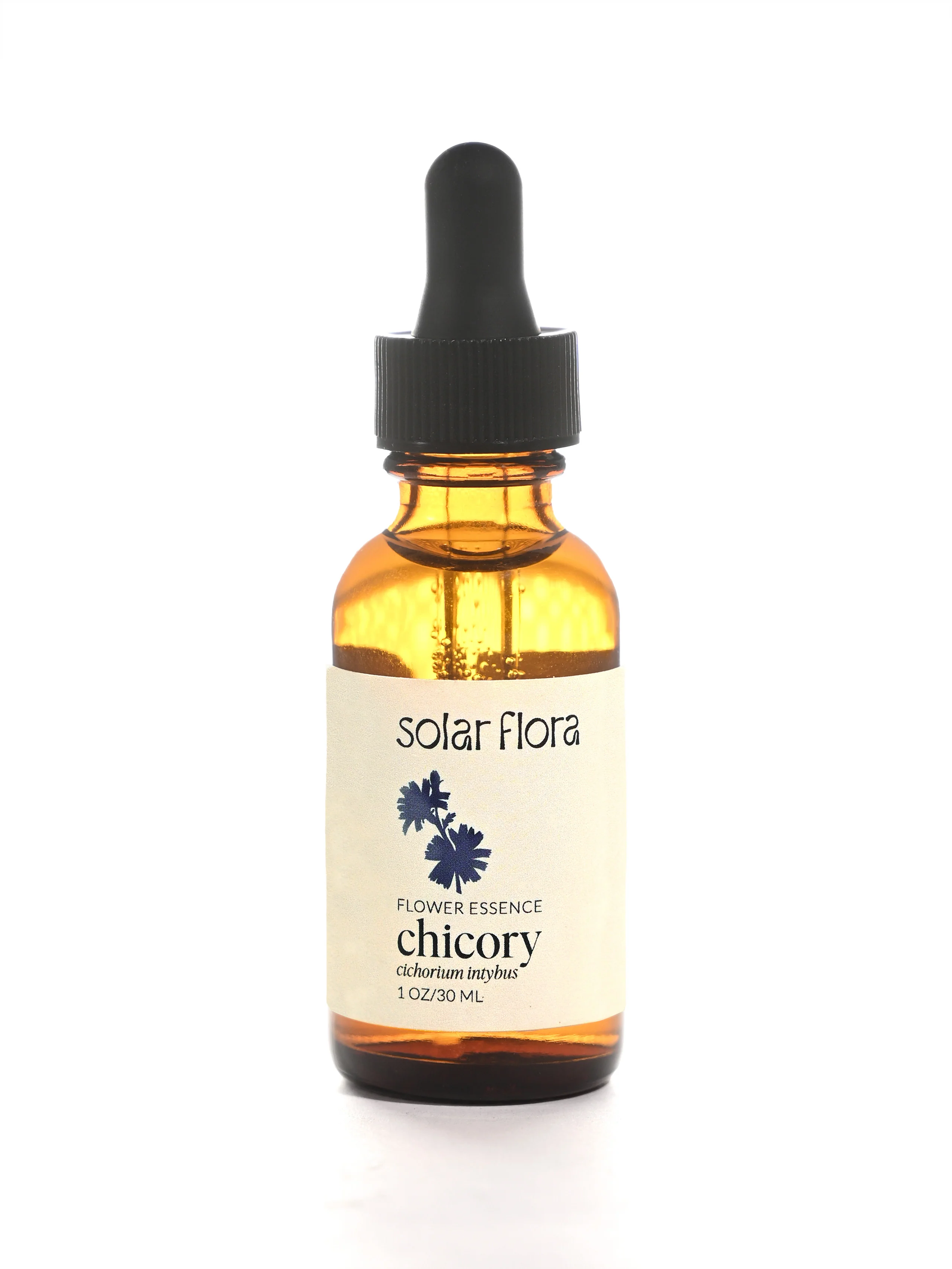 Flower Essence: Chicory - Image 2