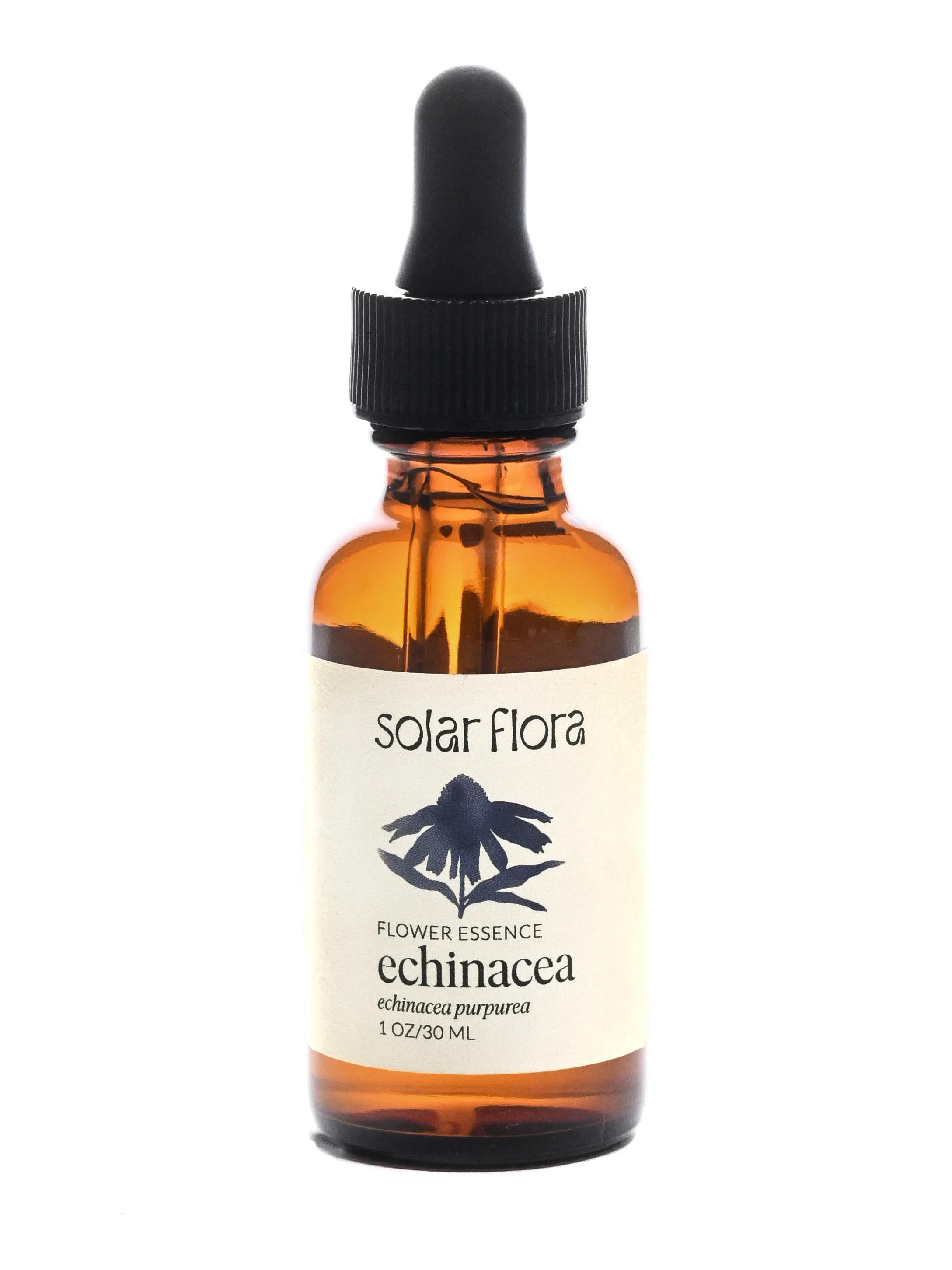Flower Essence: Echinacea - Image 2