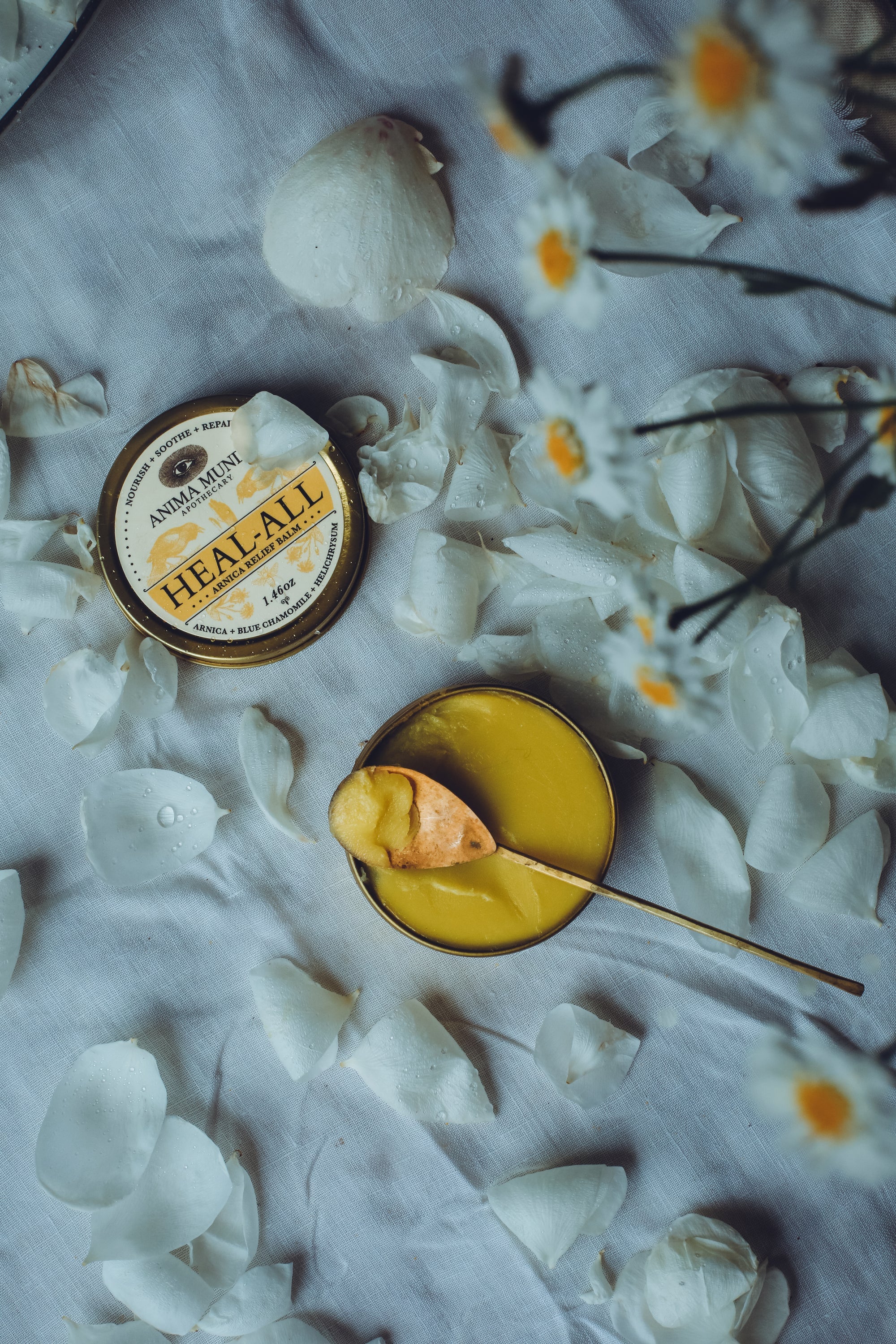 HEAL-ALL Arnica Relief Balm - Image 2