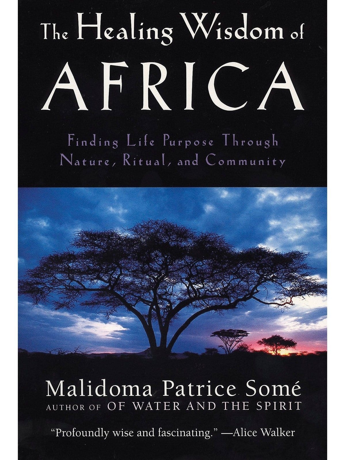 The Healing Wisdom of Africa: Finding Life Purpose Through Nature, Ritual, and Community