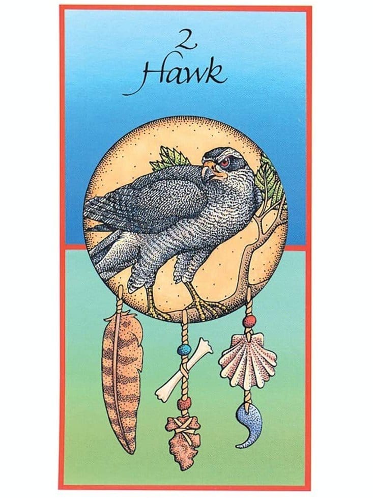 Medicine Cards: The Discovery of Power Through the Ways of Animals - Jamie Sams - Image 2
