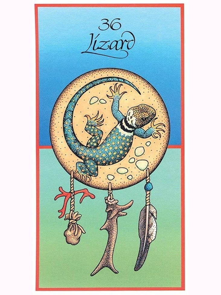 Medicine Cards: The Discovery of Power Through the Ways of Animals - Jamie Sams - Image 3