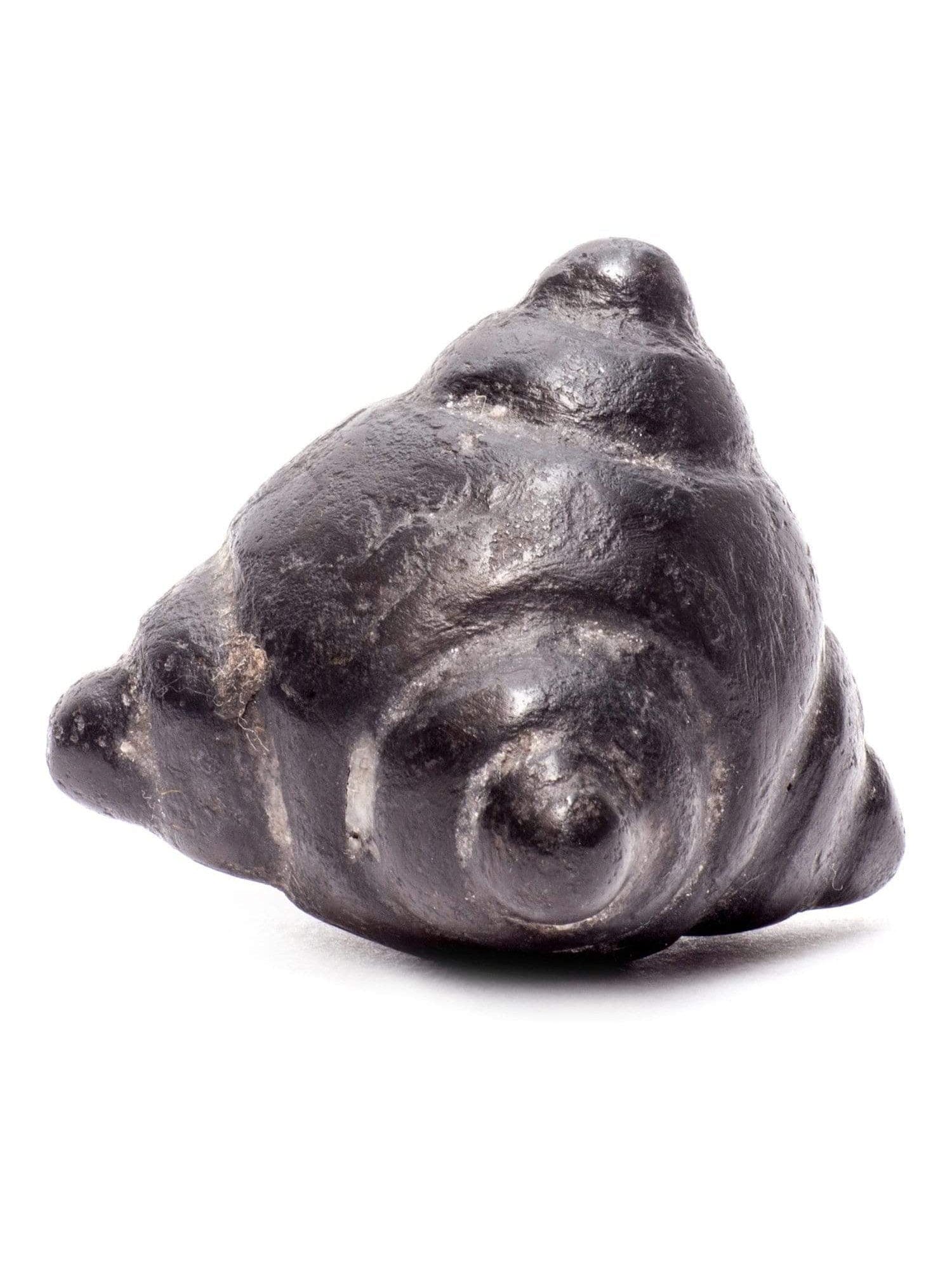 Meteorite Chumpi Stone Set - 12 Piece - Large - Image 11