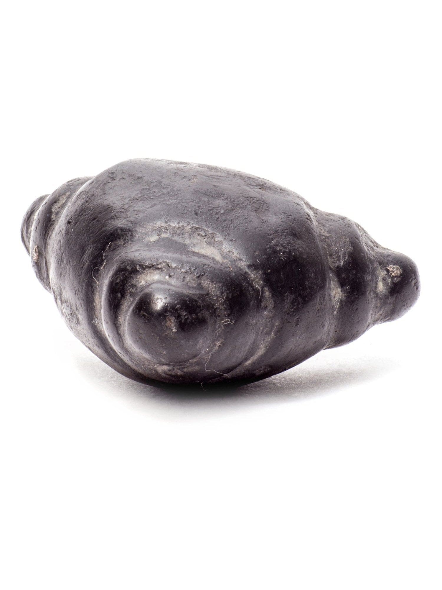 Meteorite Chumpi Stone Set - 12 Piece - Large - Image 13