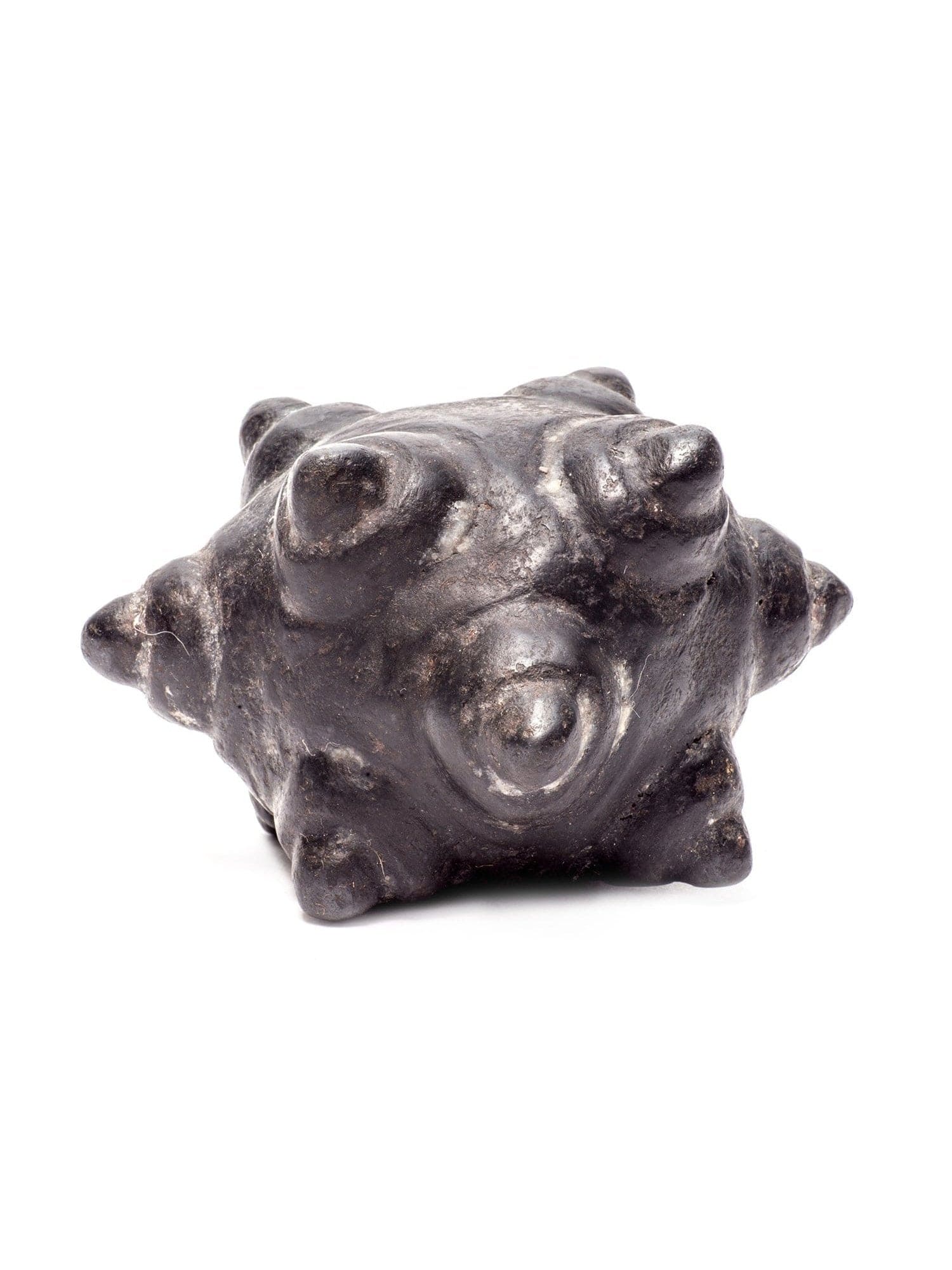 Meteorite Chumpi Stone Set - 12 Piece - Large - Image 4