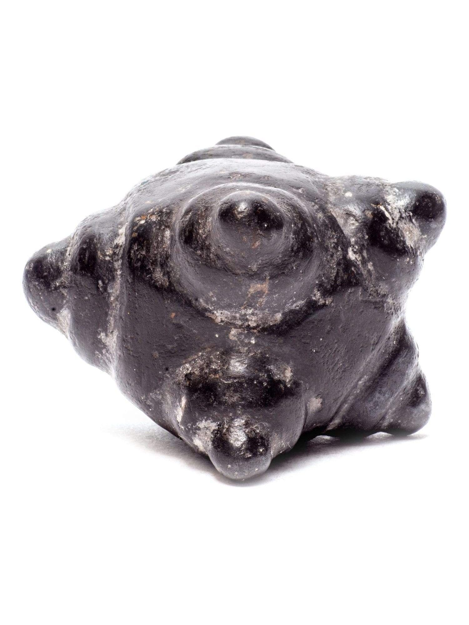 Meteorite Chumpi Stone Set - 12 Piece - Large - Image 5