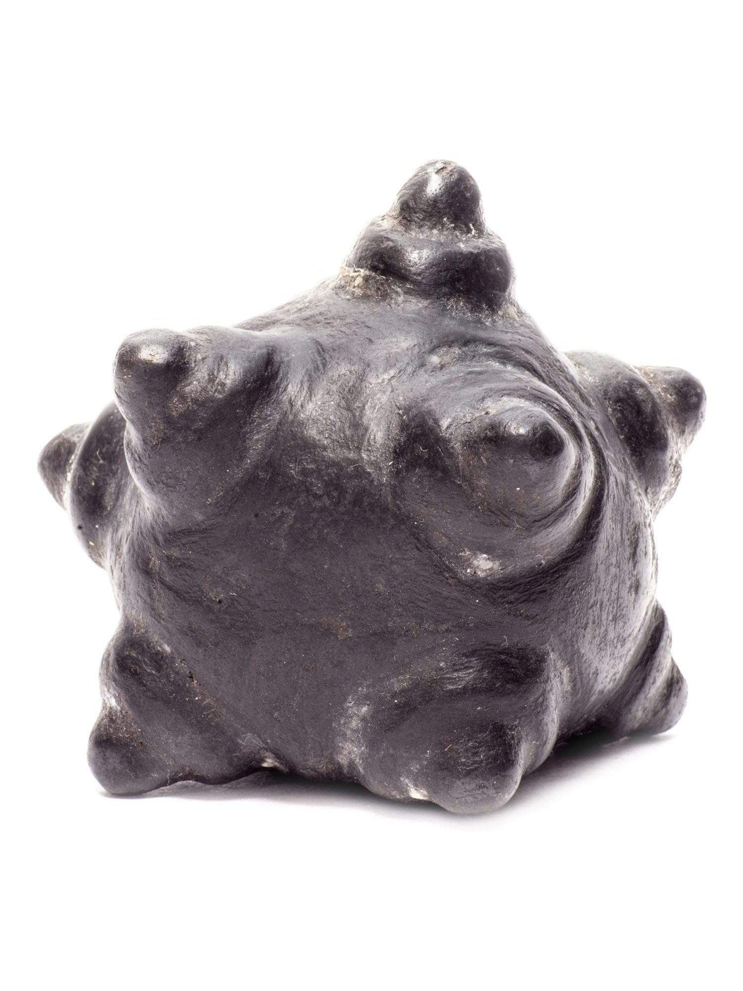 Meteorite Chumpi Stone Set - 12 Piece - Large - Image 7