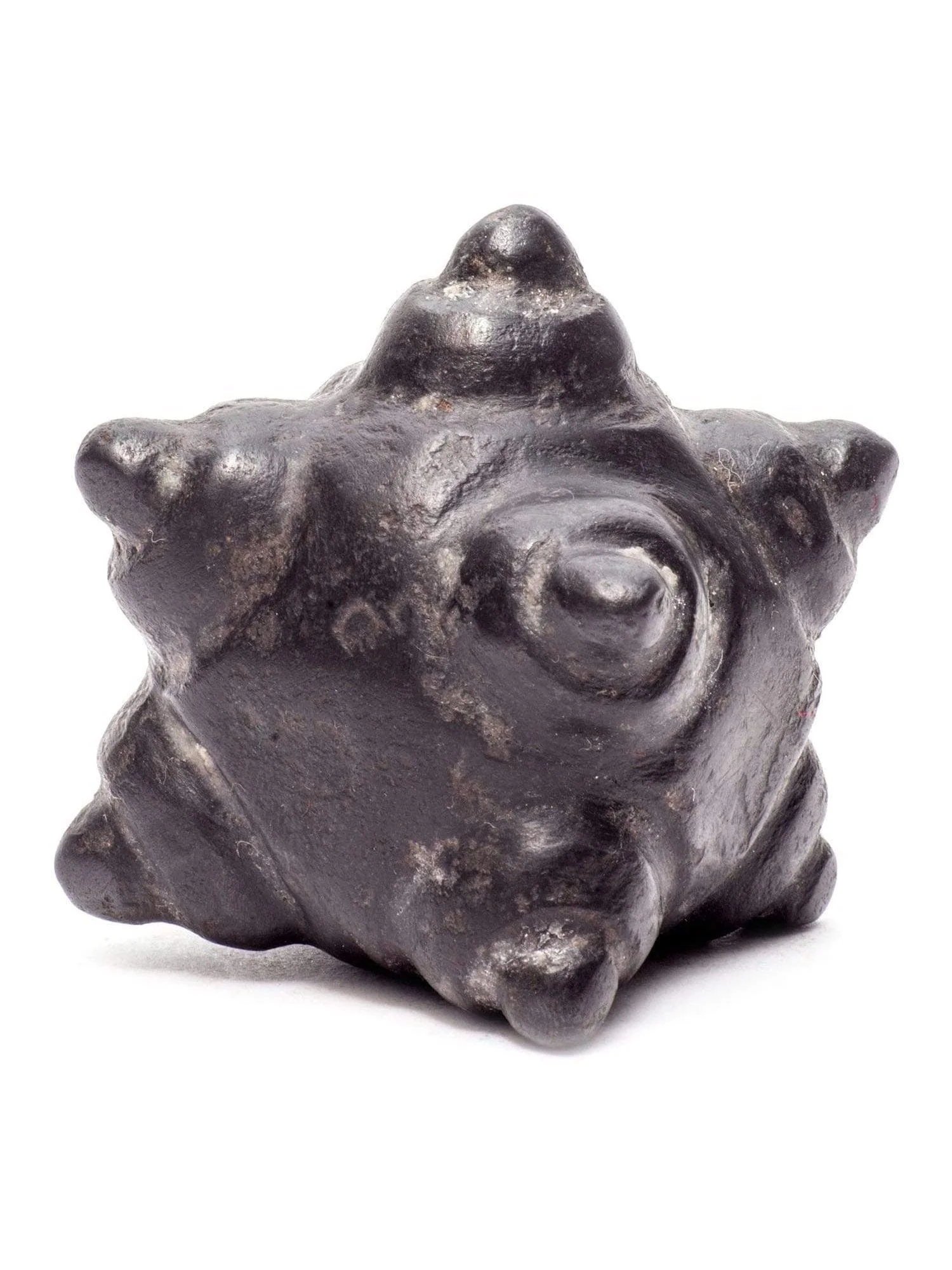 Meteorite Chumpi Stone Set - 12 Piece - Large - Image 8