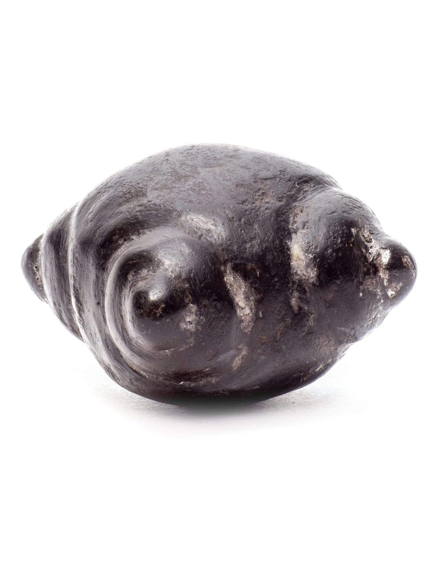 Meteorite Chumpi Stone Set - 12 Piece - Large - Image 9