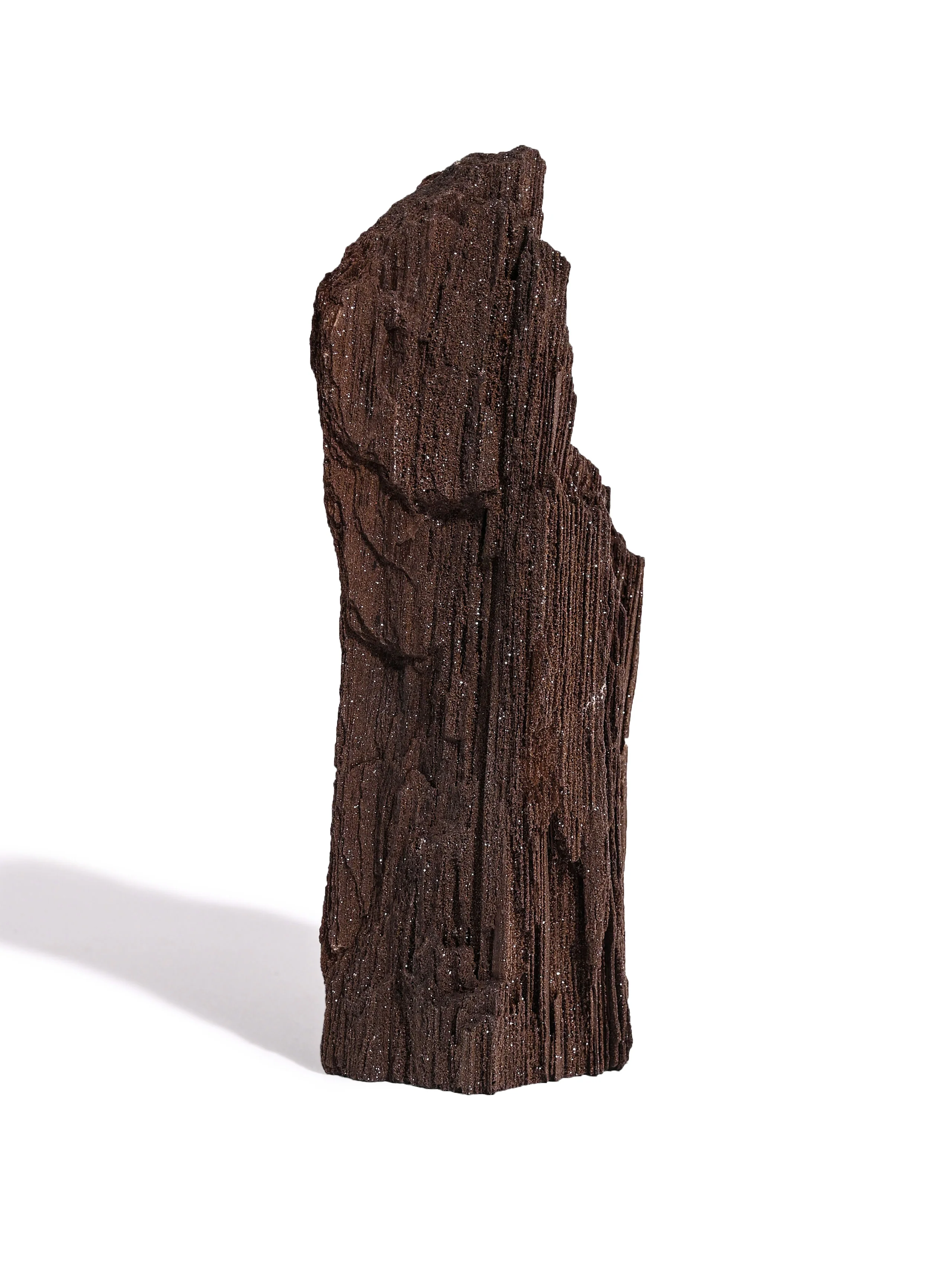 Permineralized Wood - Image 13