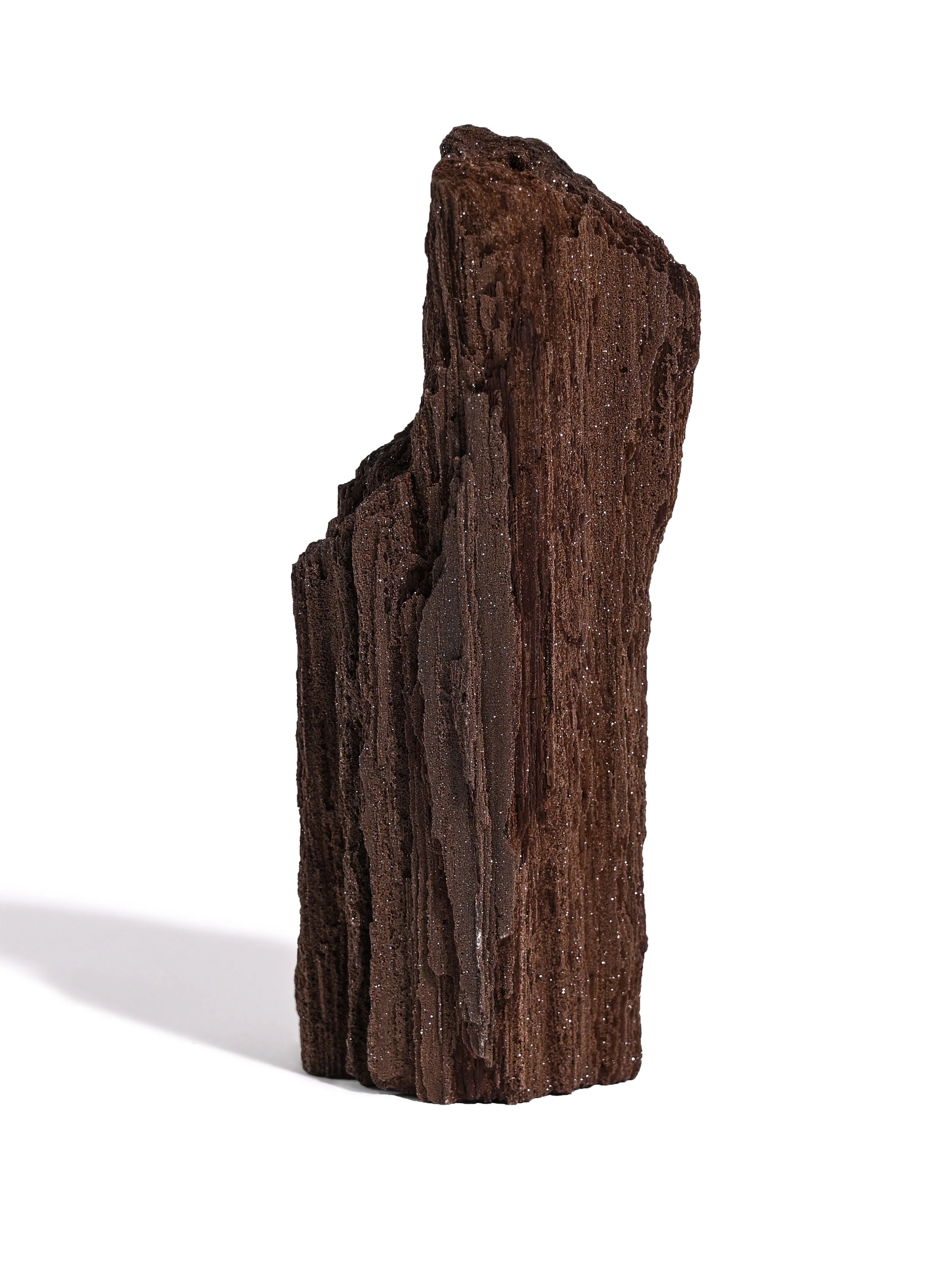Permineralized Wood - Image 15