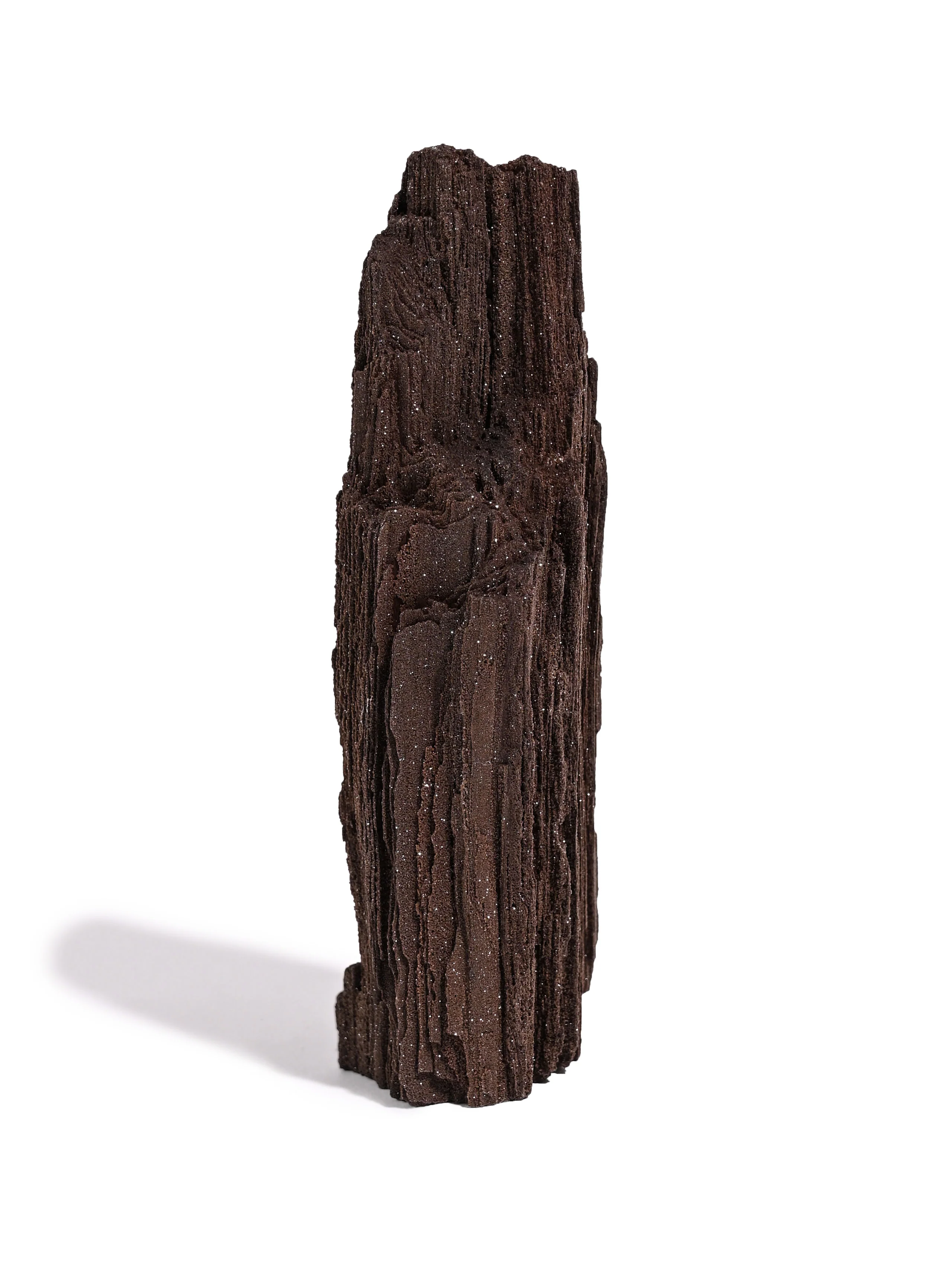 Permineralized Wood - Image 16