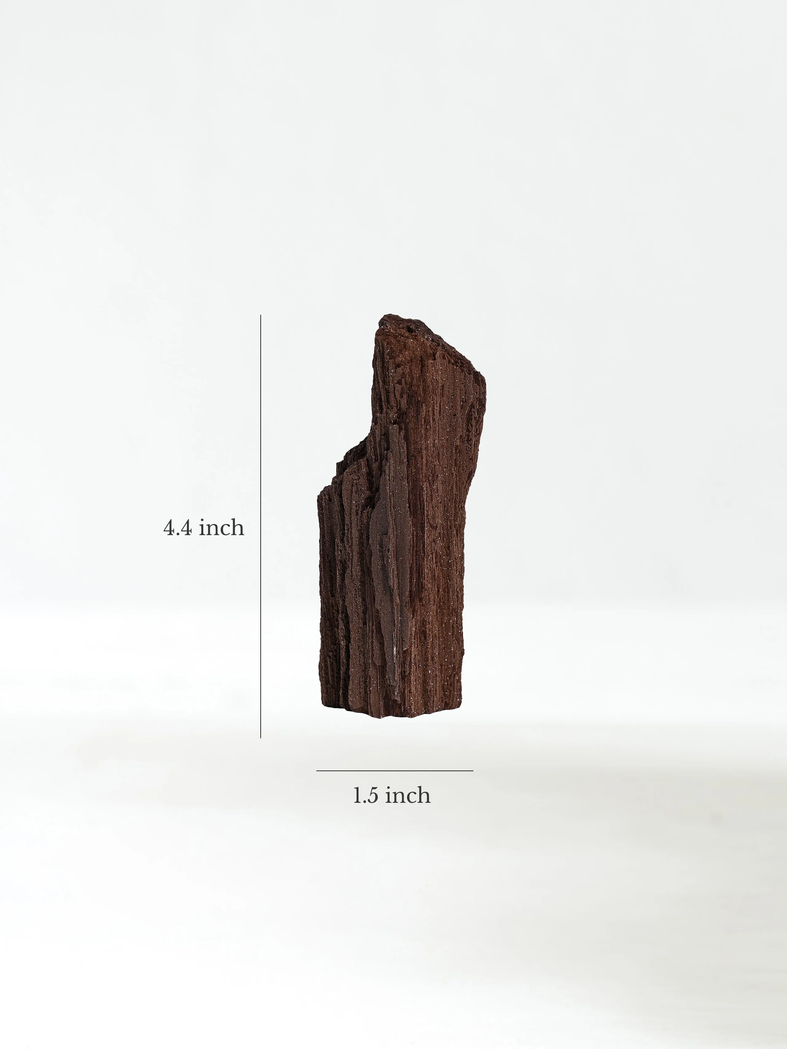 Permineralized Wood - Image 17