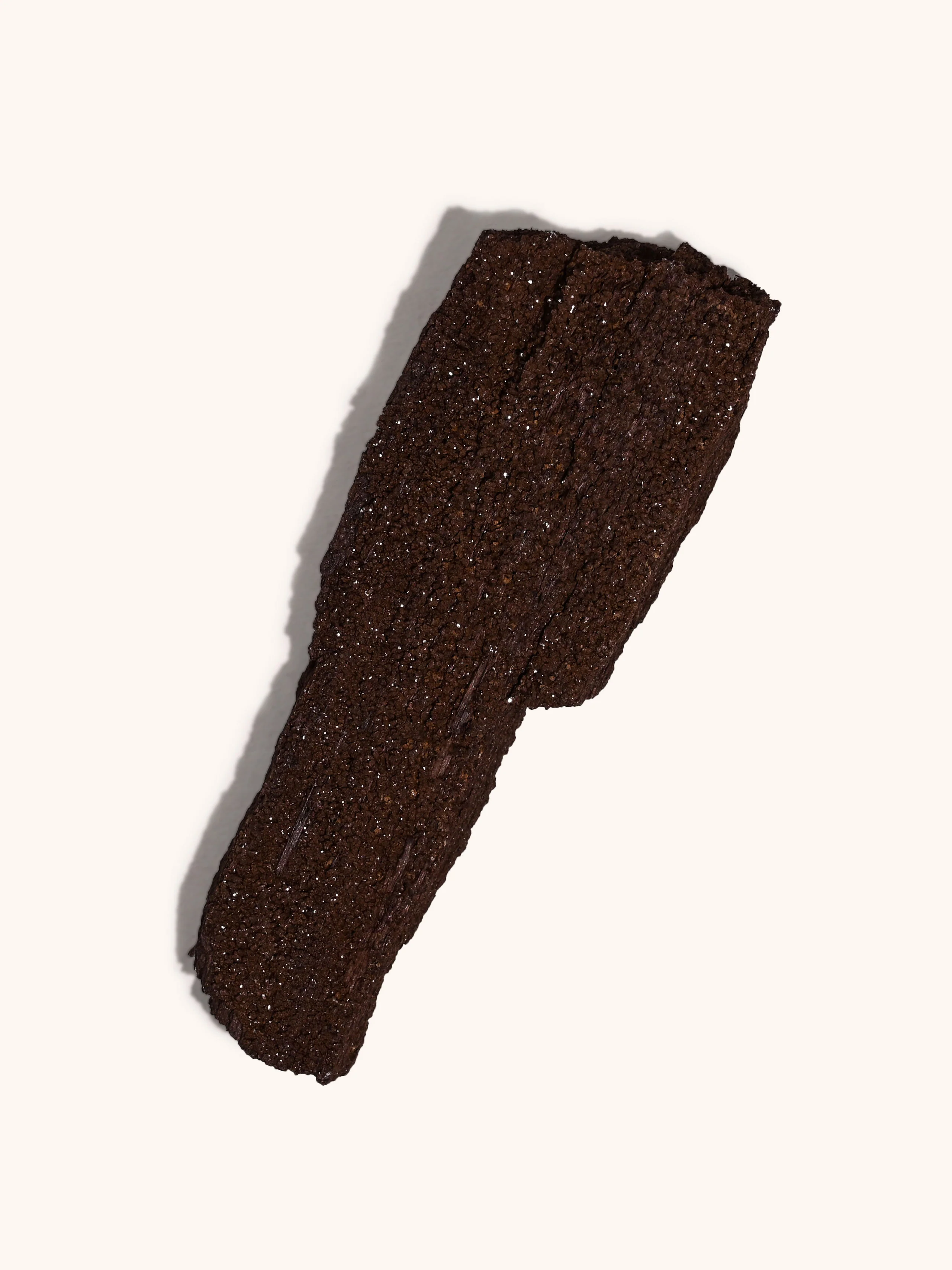 Permineralized Wood - Image 18