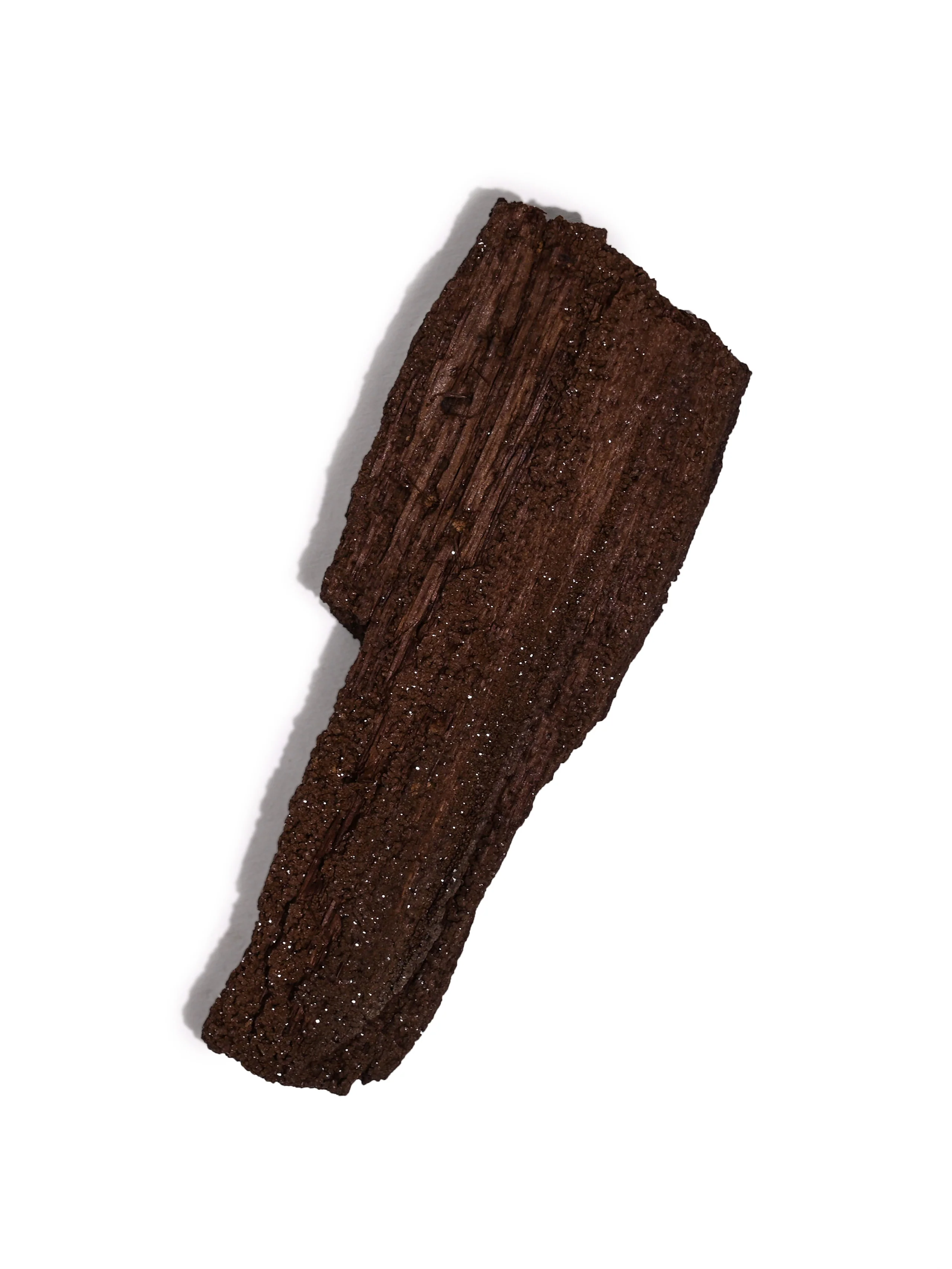 Permineralized Wood - Image 19