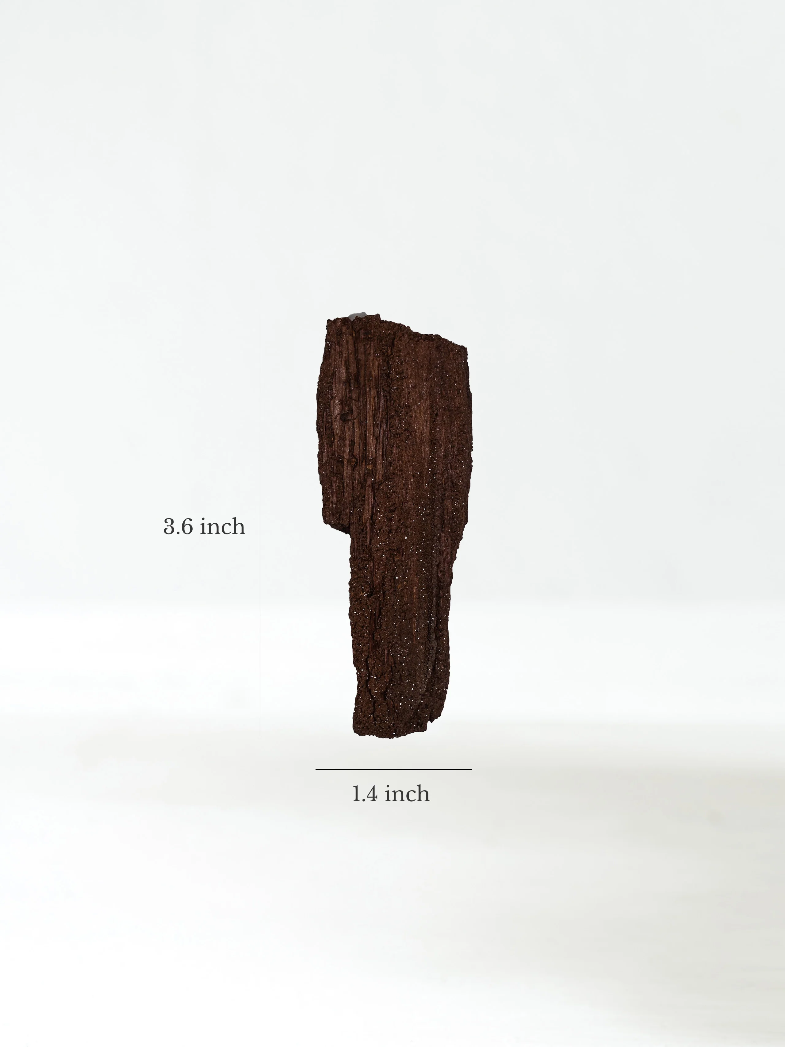 Permineralized Wood - Image 20