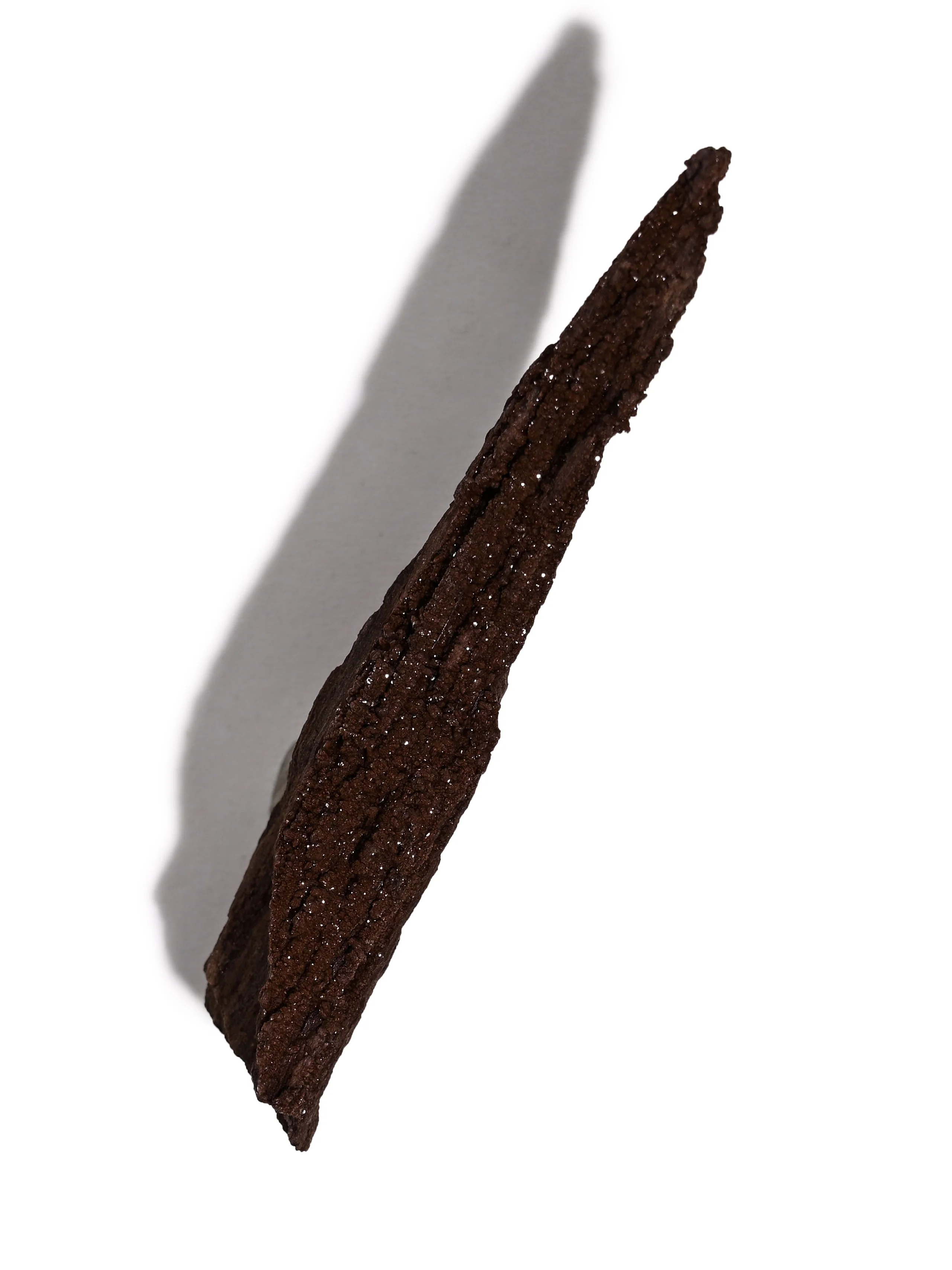 Permineralized Wood - Image 22