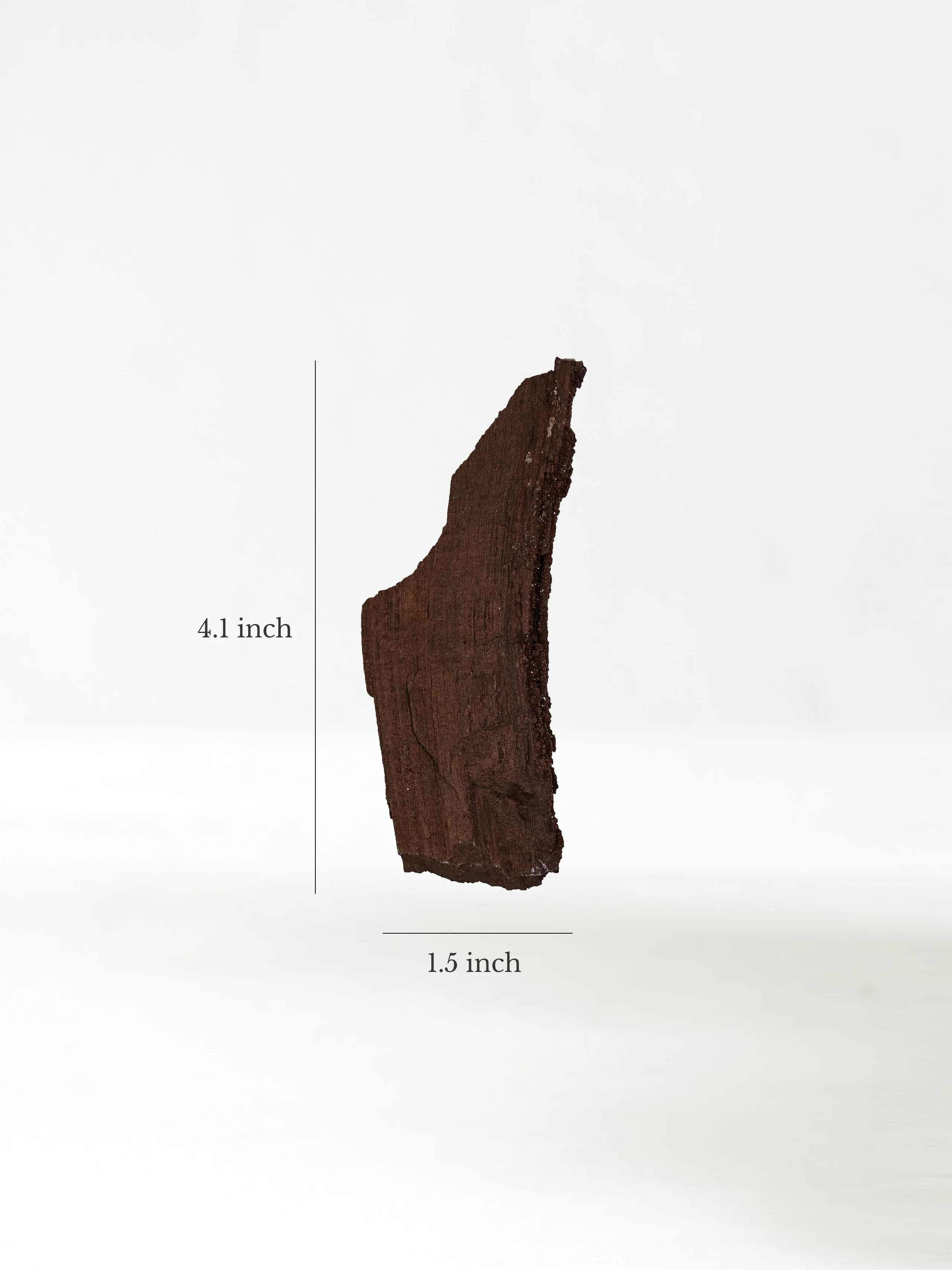 Permineralized Wood - Image 24
