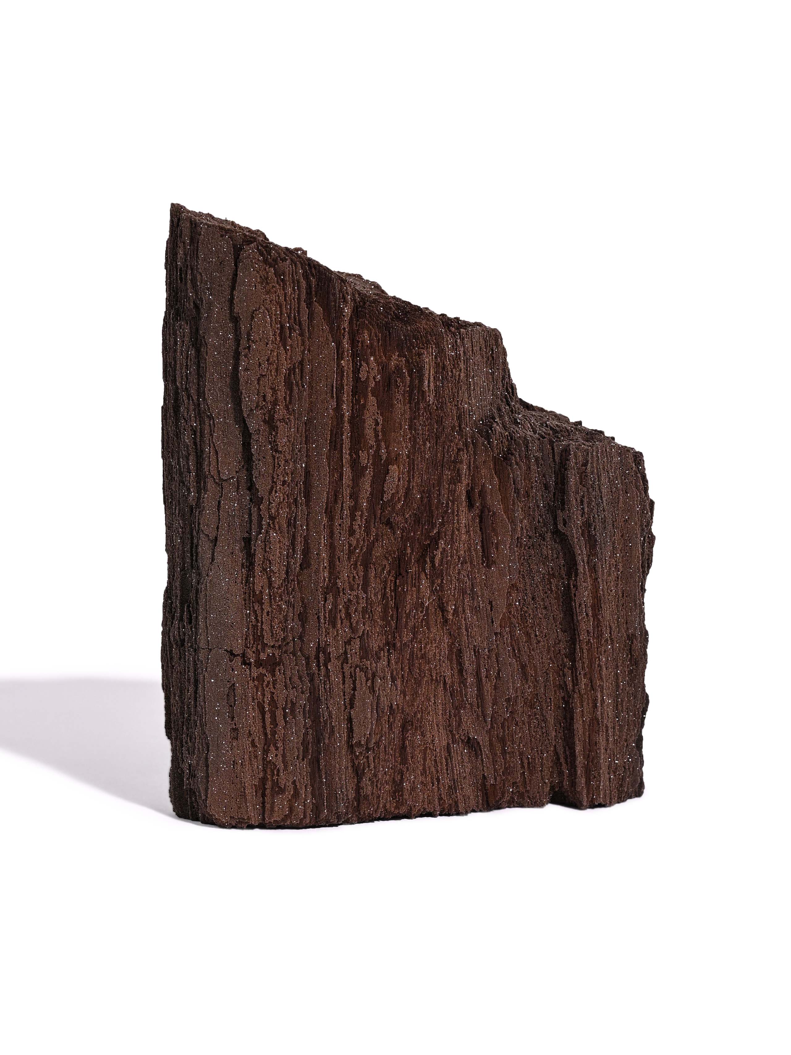 Permineralized Wood - Image 3
