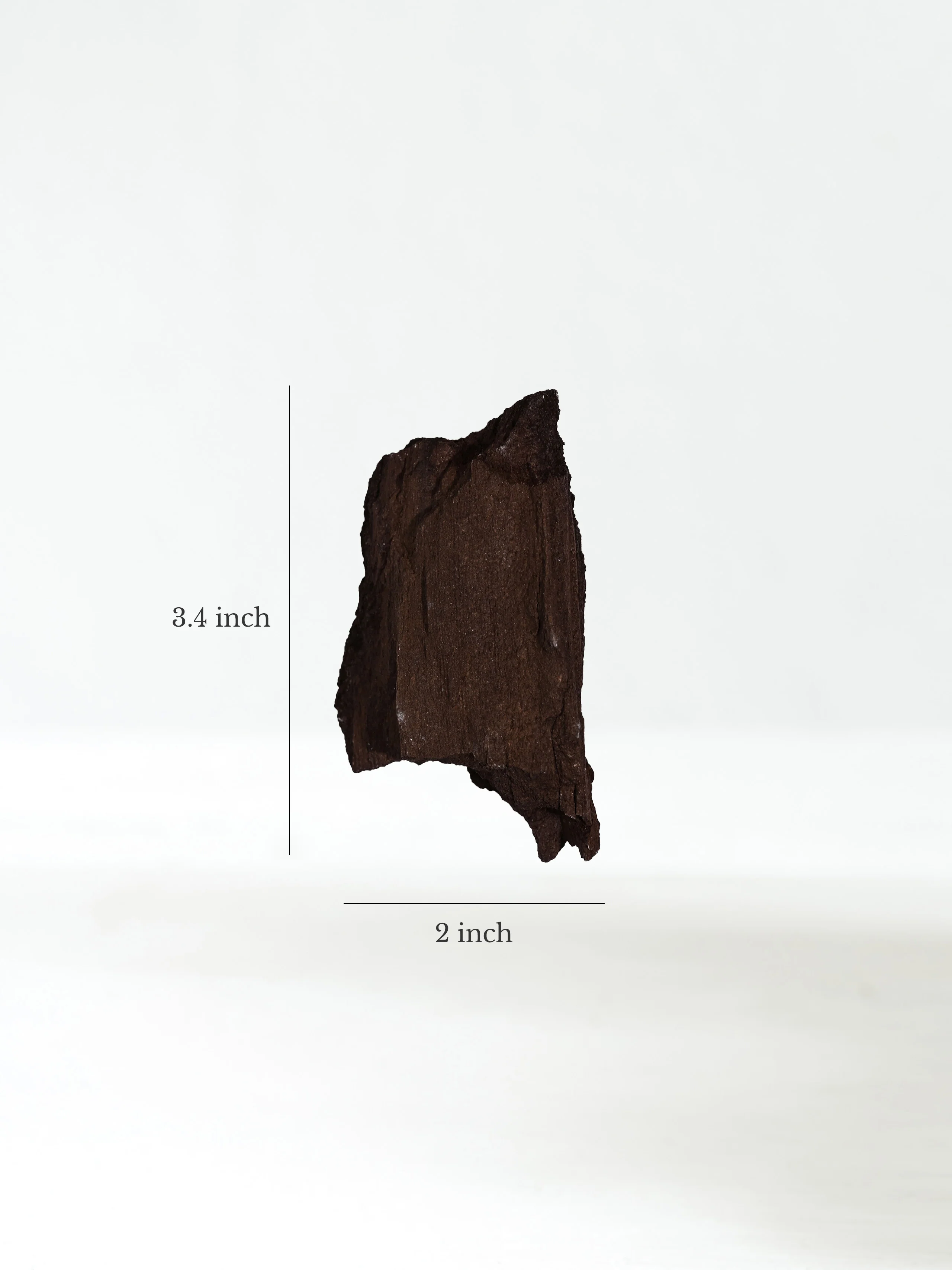 Permineralized Wood - Image 34