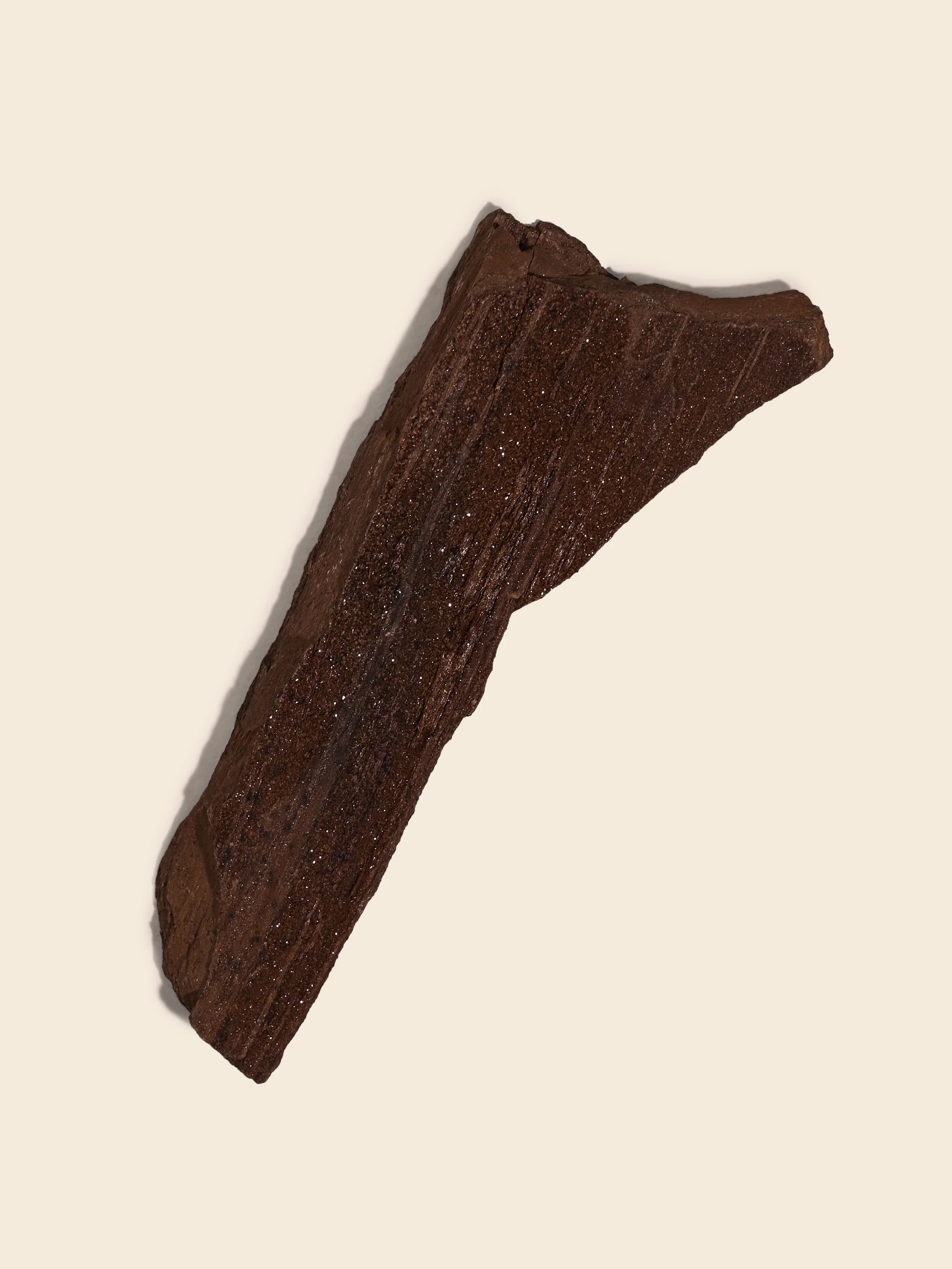 Permineralized Wood - Image 35