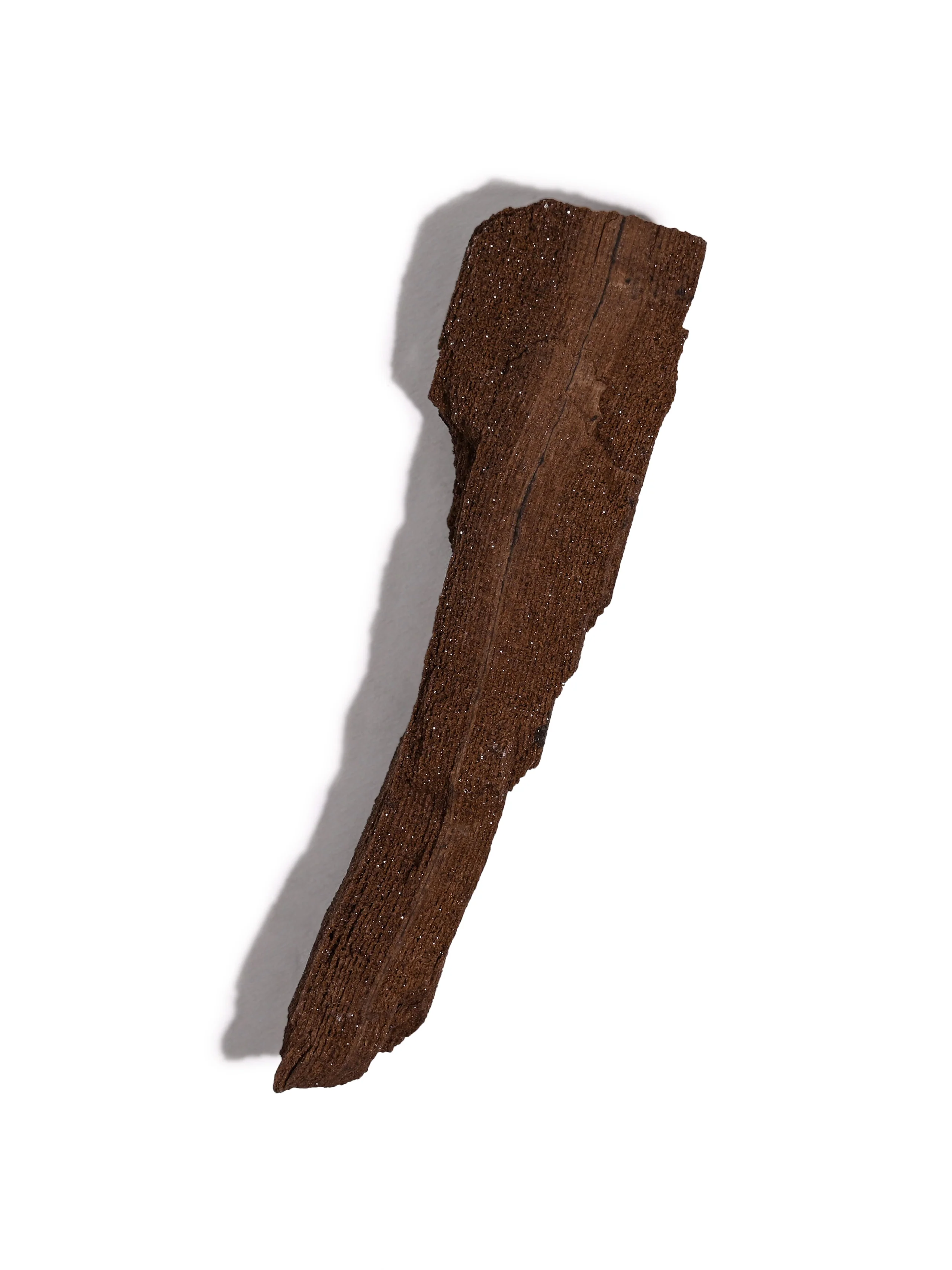 Permineralized Wood - Image 38