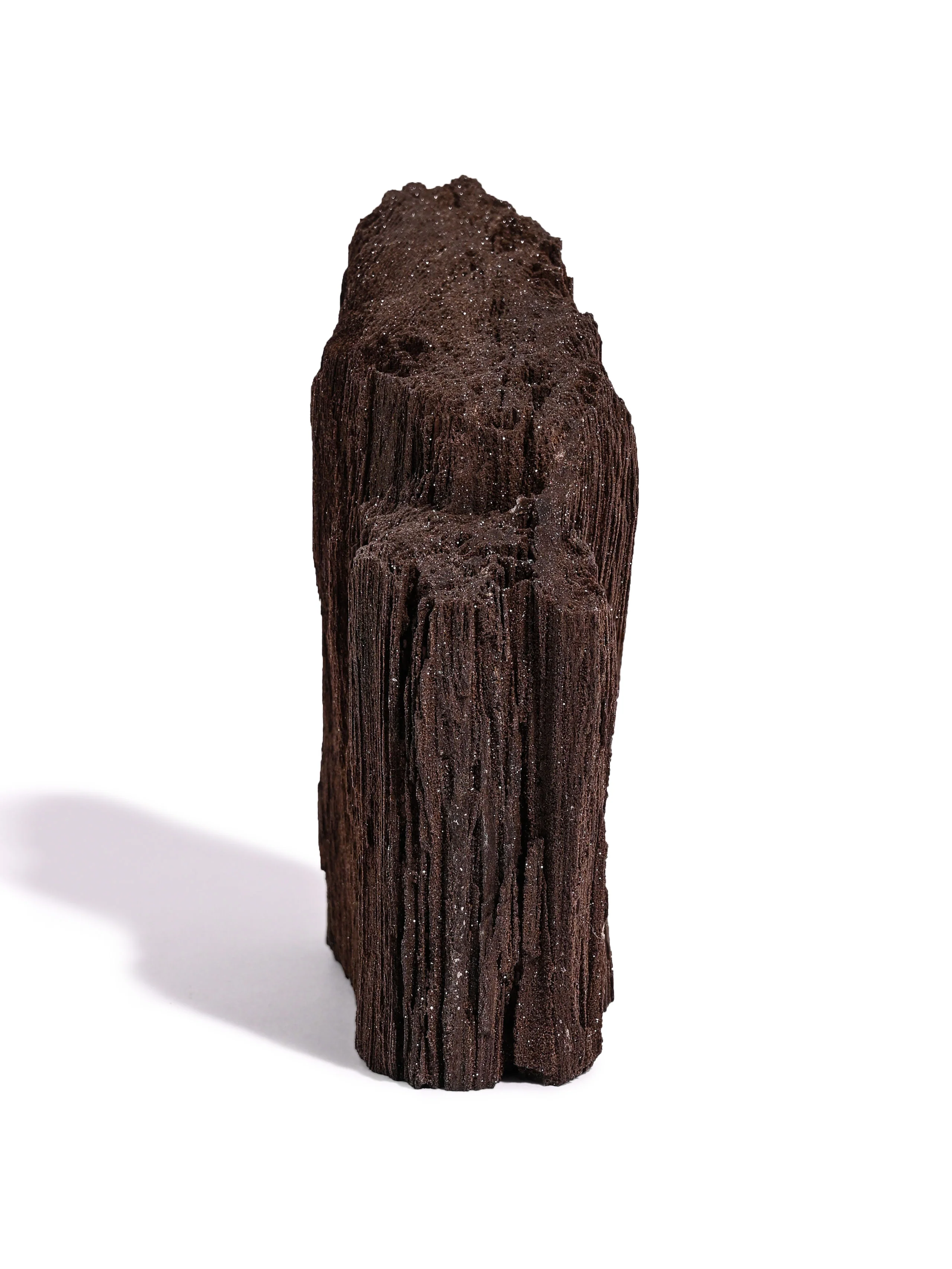Permineralized Wood - Image 4