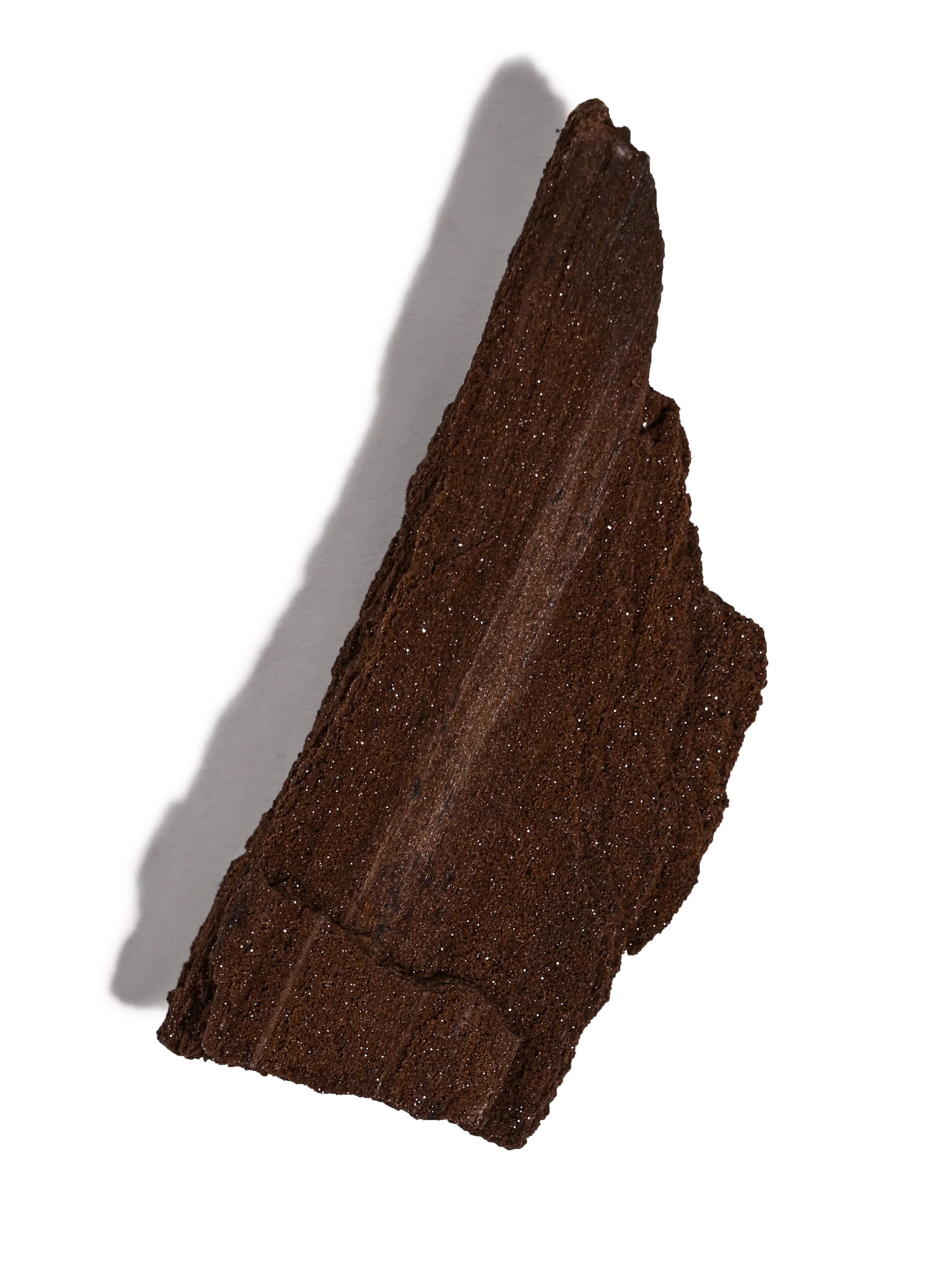 Permineralized Wood - Image 41