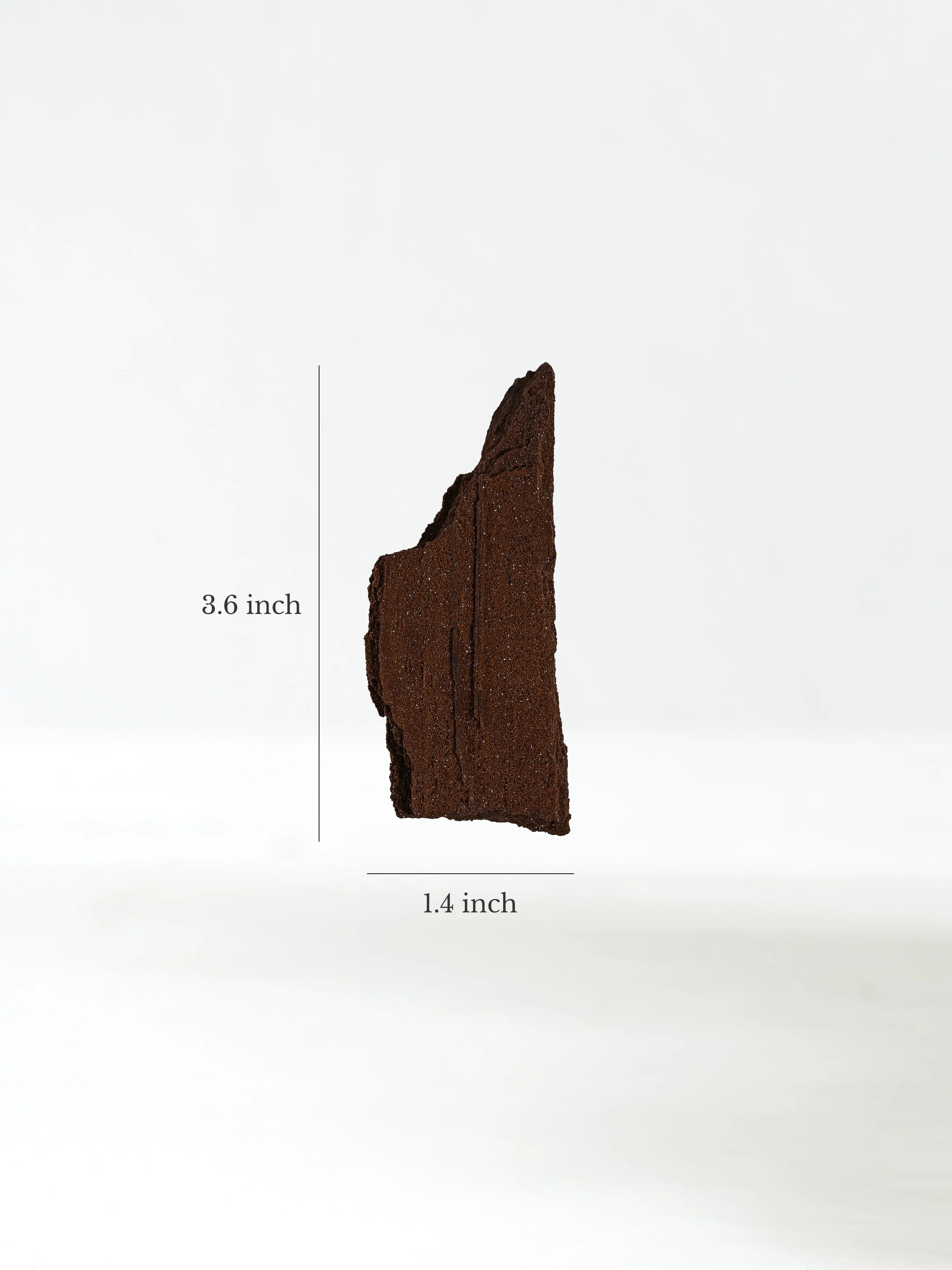 Permineralized Wood - Image 42