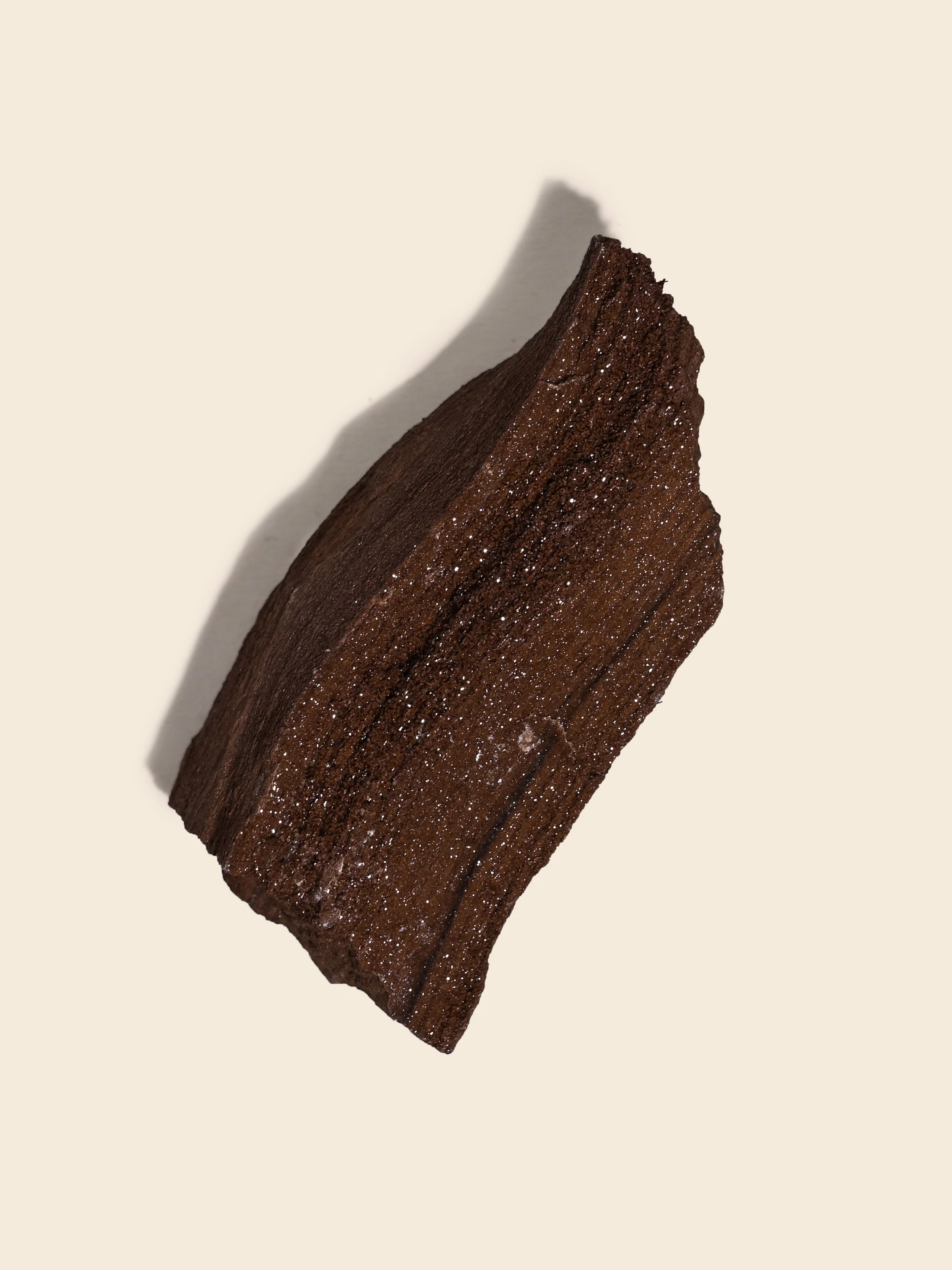 Permineralized Wood - Image 43