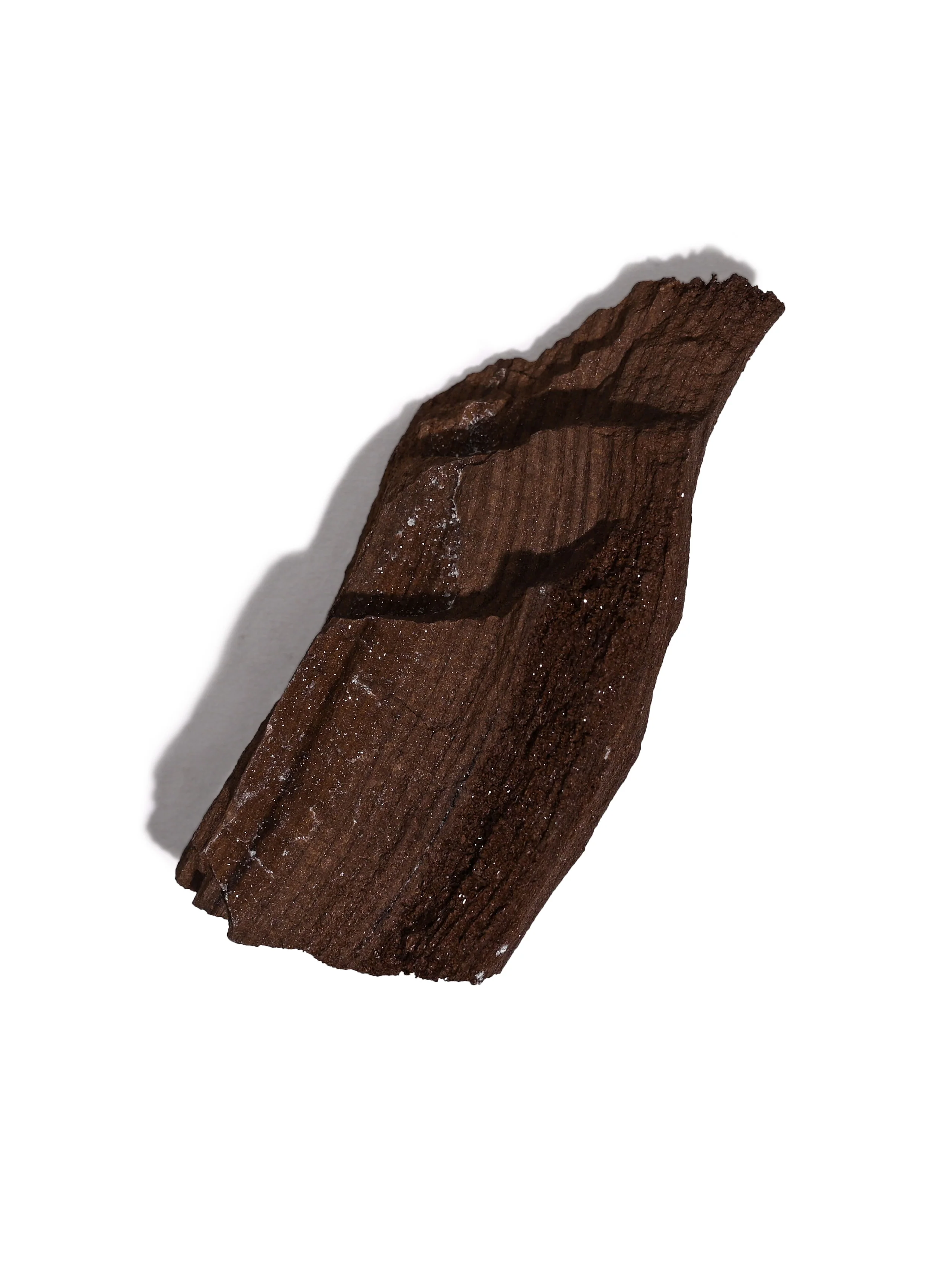 Permineralized Wood - Image 44