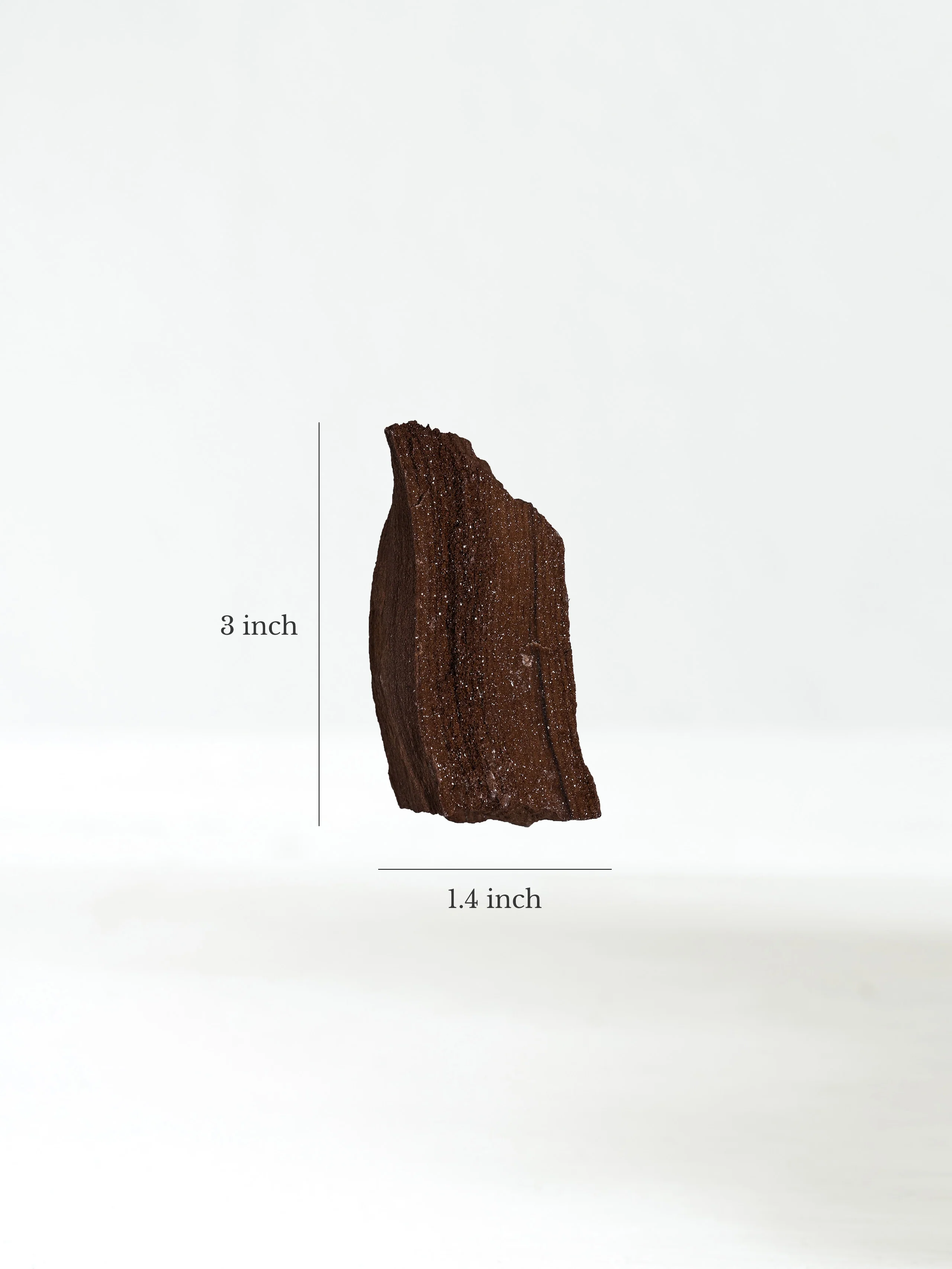 Permineralized Wood - Image 45