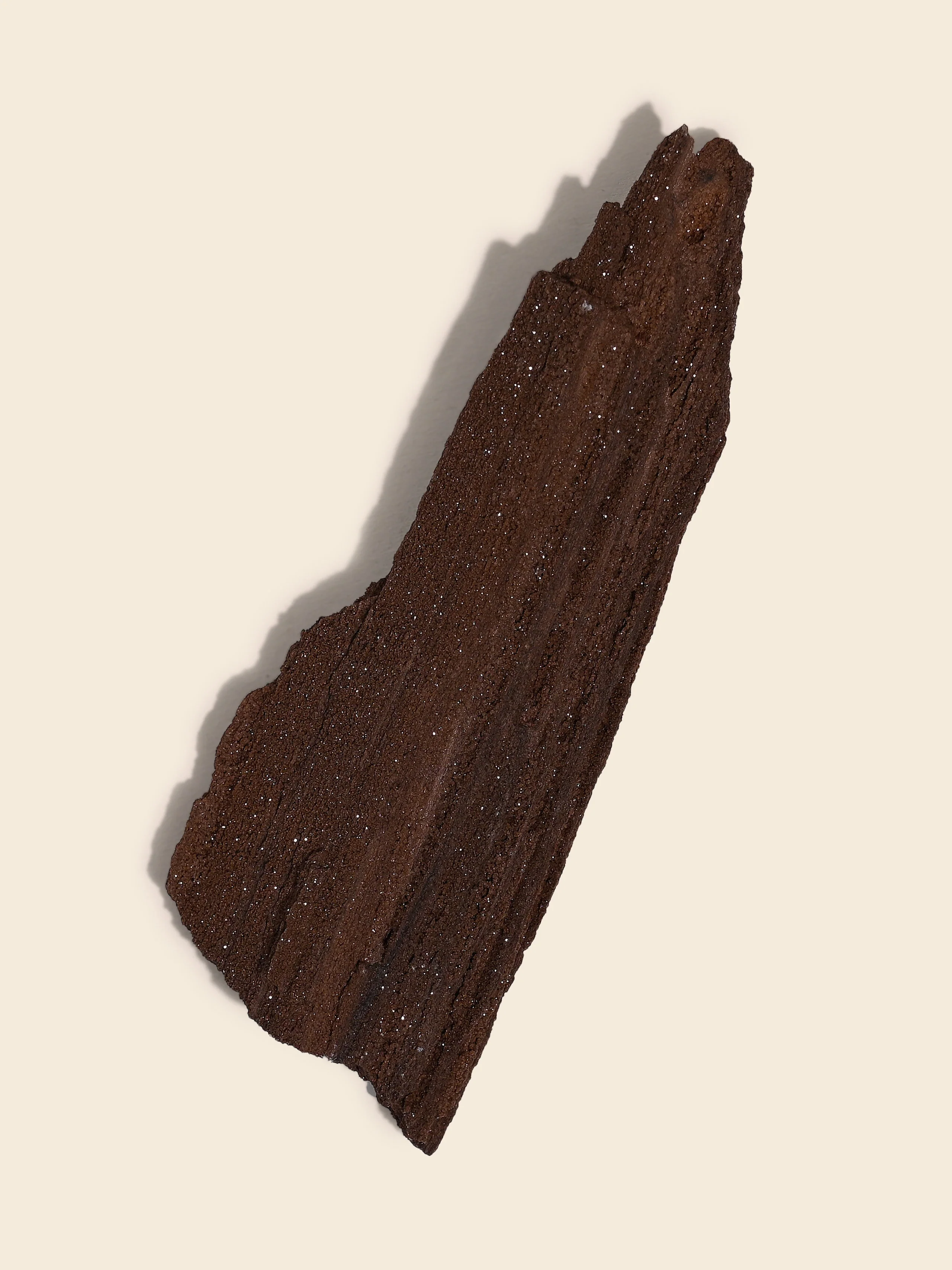 Permineralized Wood - Image 46