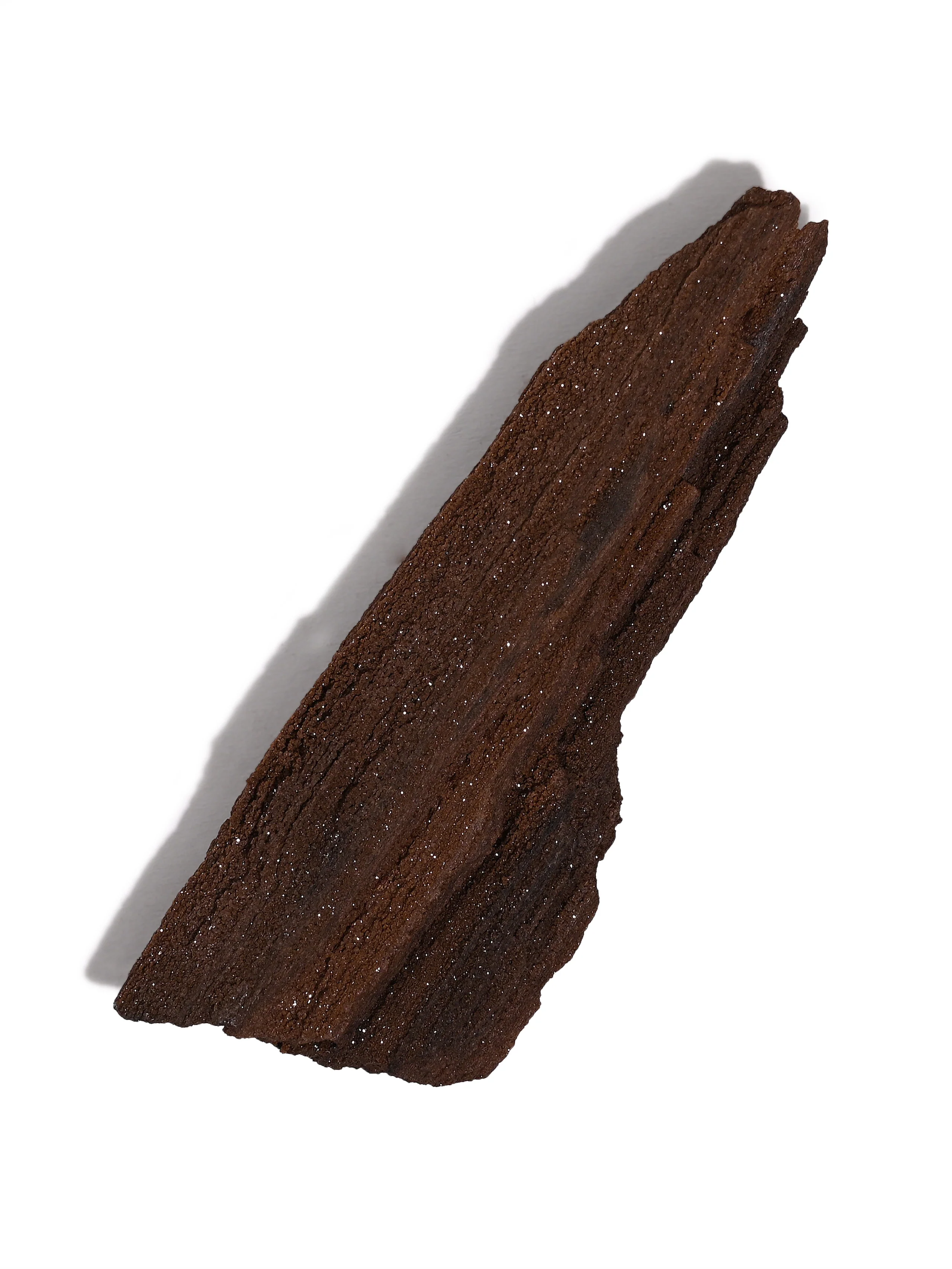 Permineralized Wood - Image 47