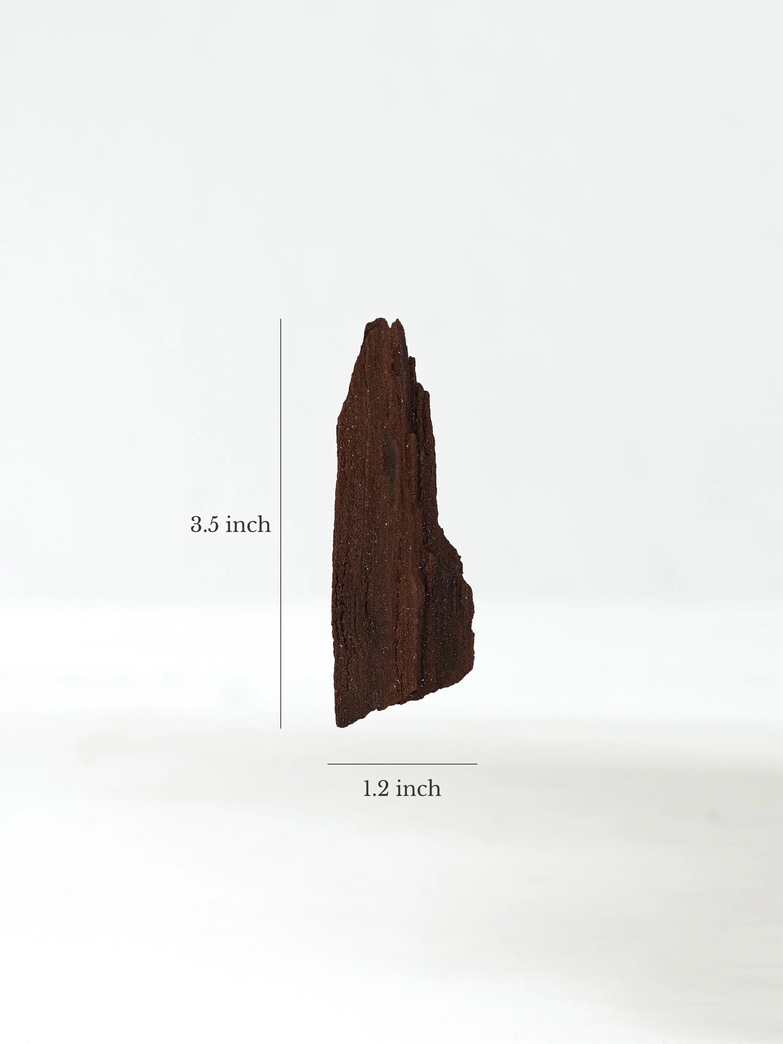 Permineralized Wood - Image 48